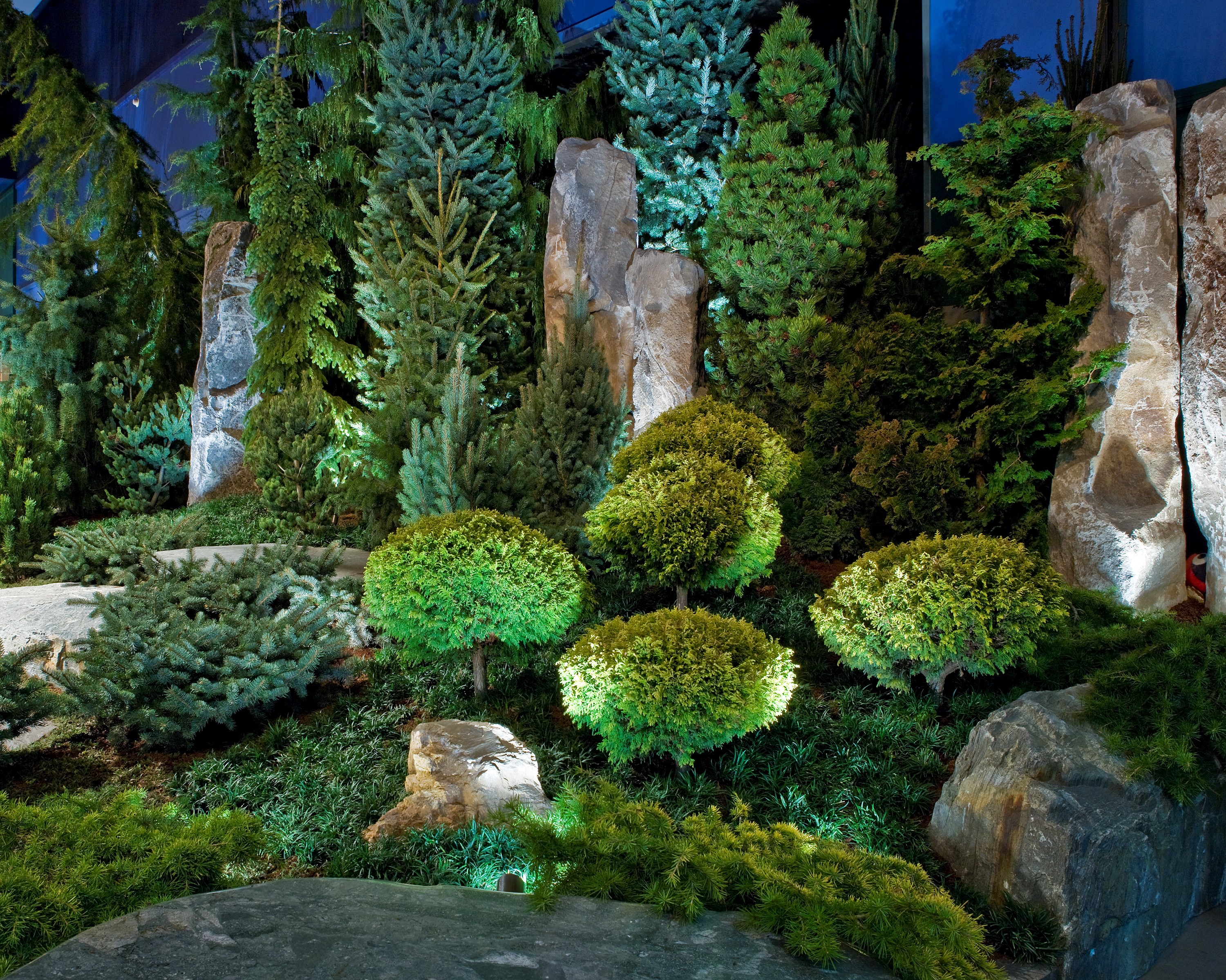 Landscaping with various trees and stones HD Wallpaper