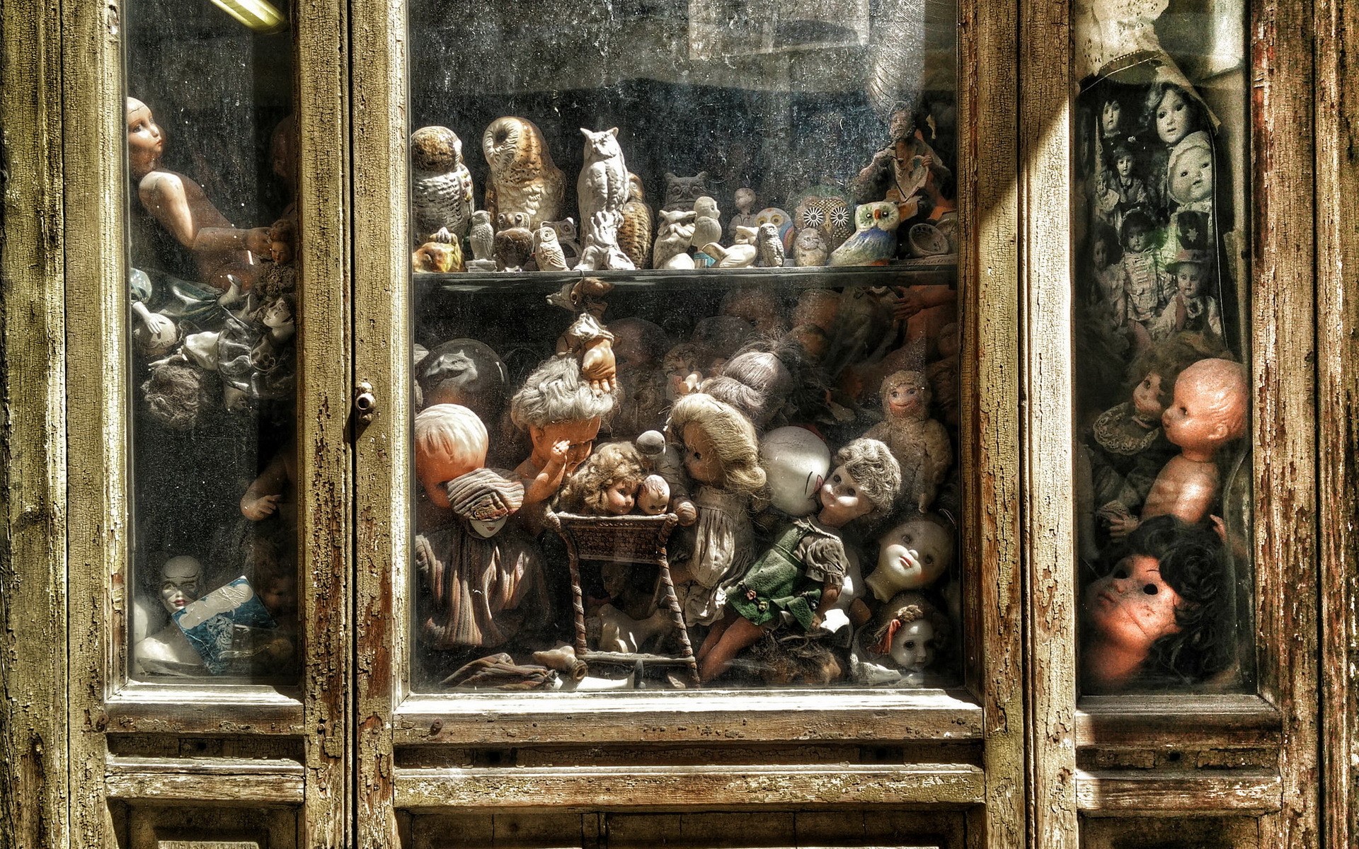 Collection of old dolls and owl figurines in a display case HD Wallpaper
