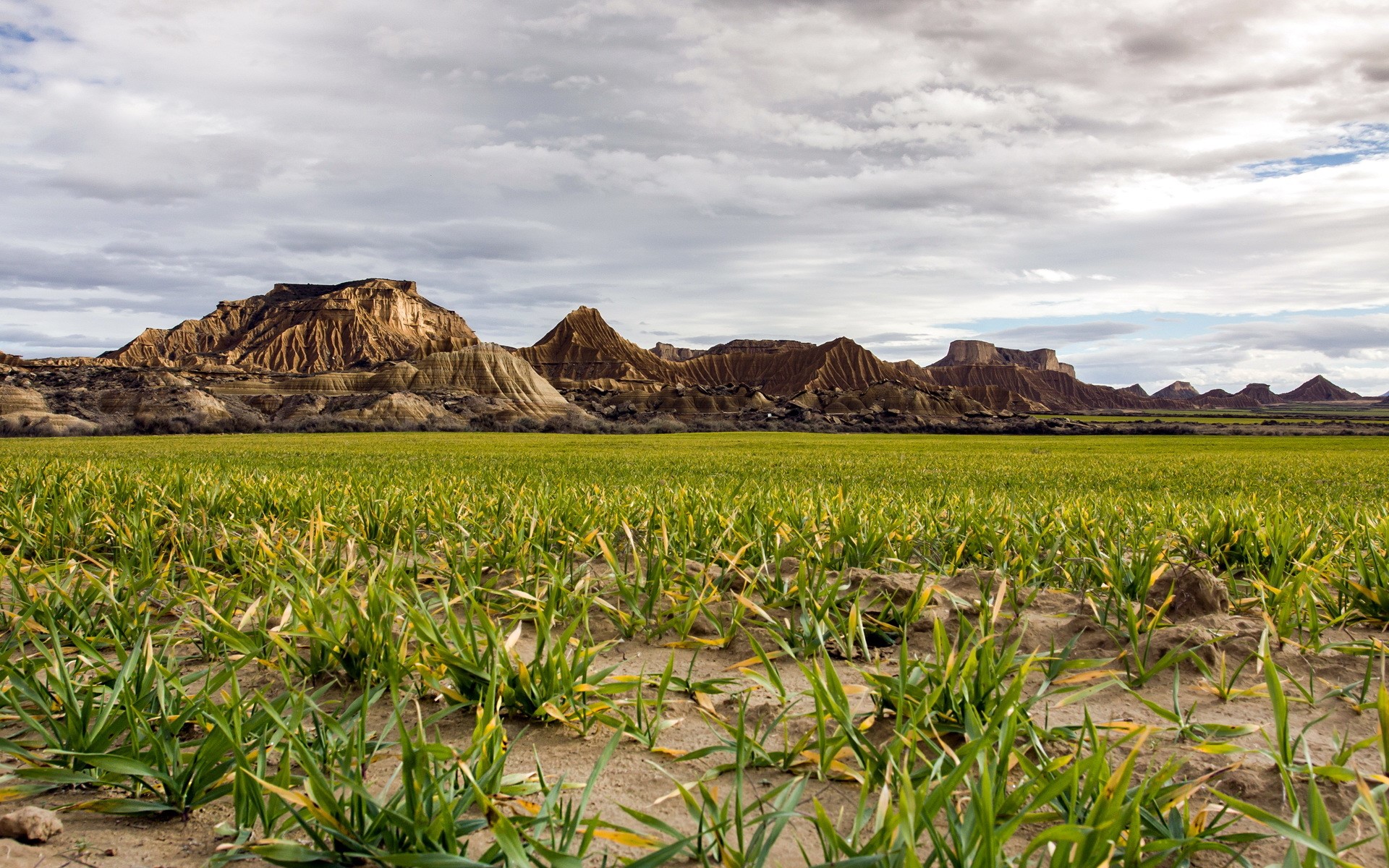Green field in front of eroded mountains under cloudy sky HD Wallpaper
