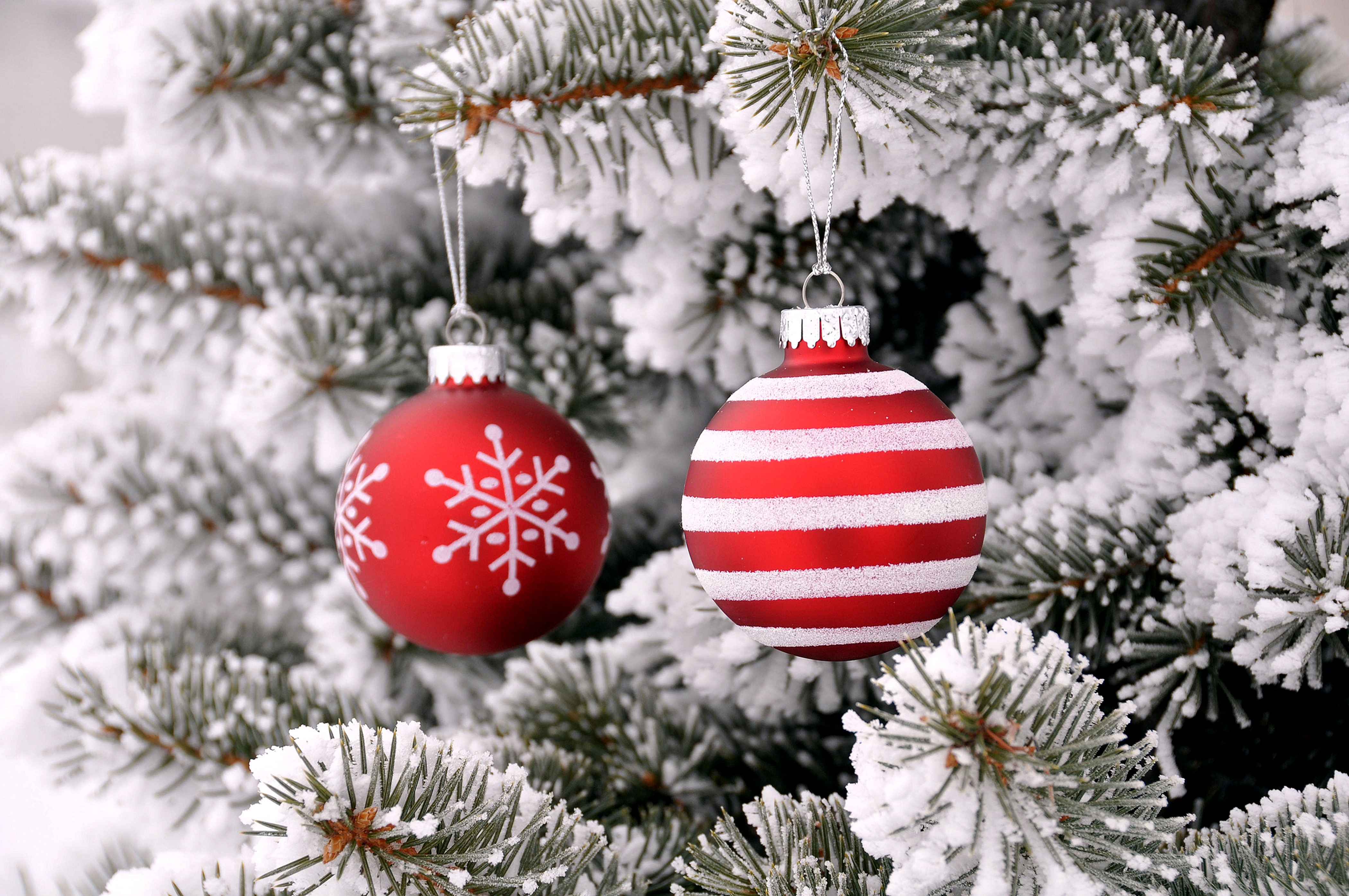 Christmas ornaments on a snowy tree HD Wallpaper