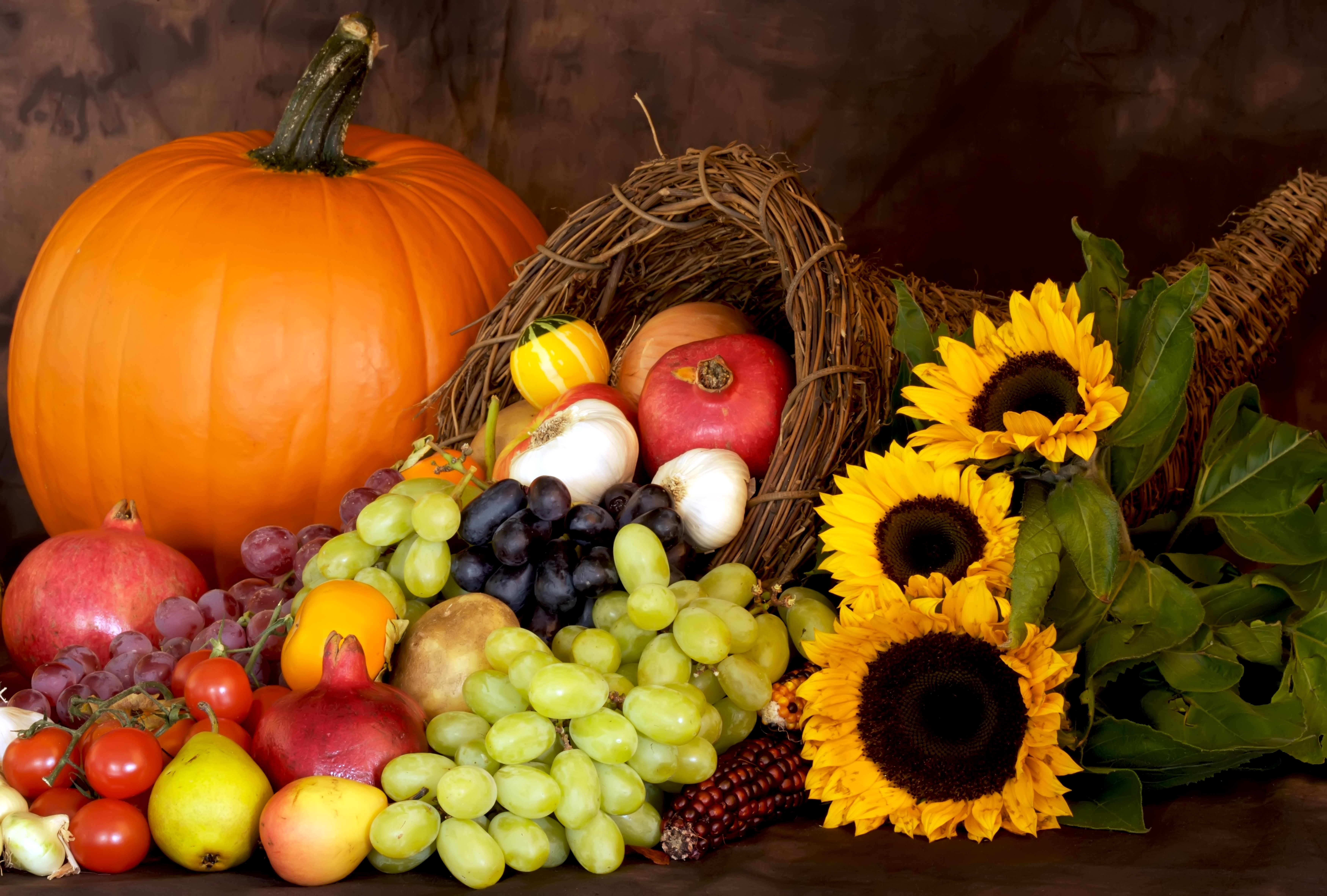 Autumn Harvest Cornucopia with Pumpkin, Grapes, and Sunflowers HD Wallpaper
