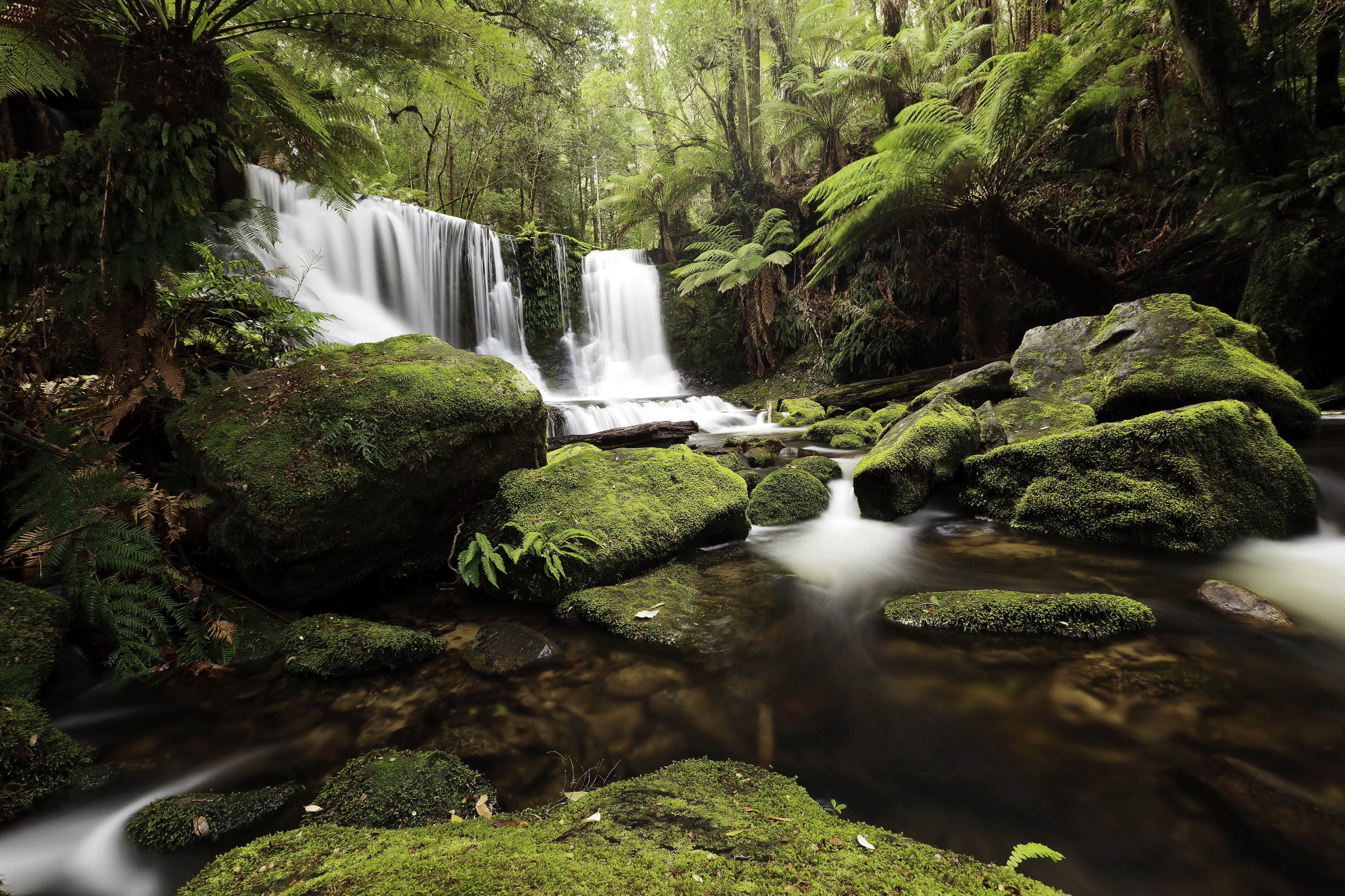 Waterfall in a mossy forest with rocks HD Wallpaper