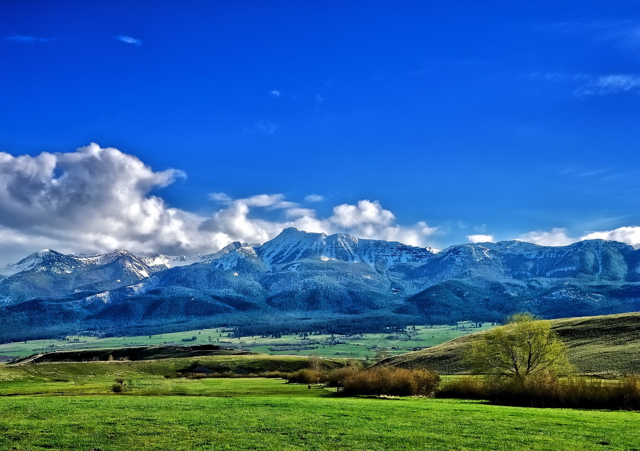 Snow-capped mountains and green fields under a blue sky HD Wallpaper