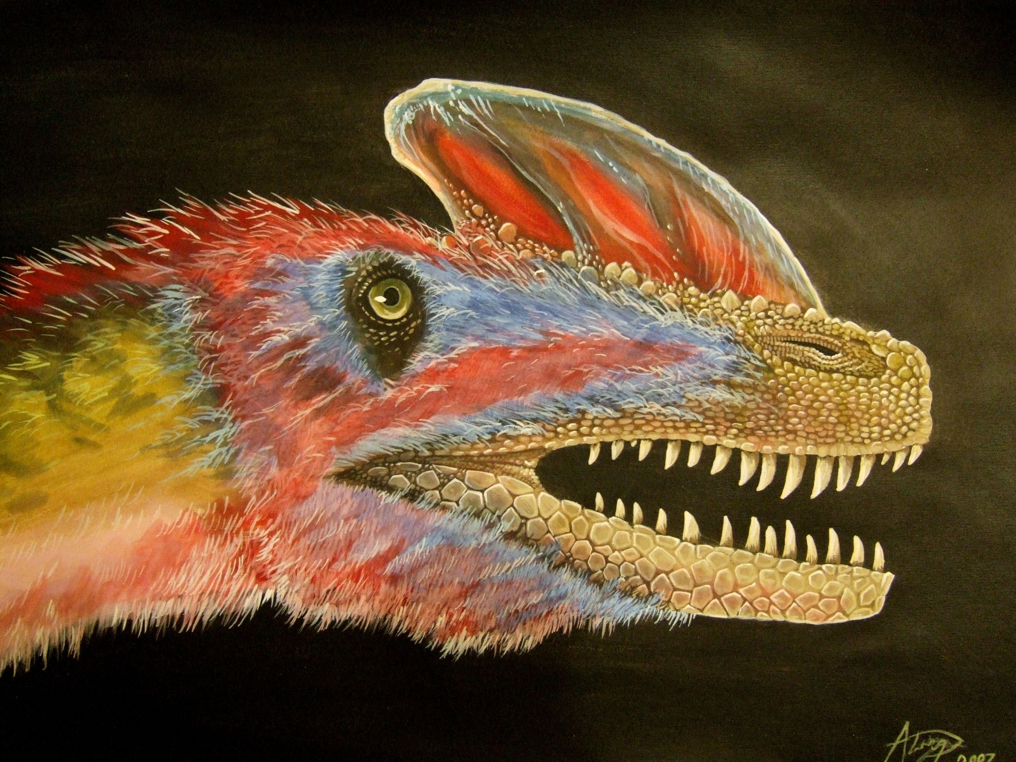 Guanlong wucaii dinosaur head by Alexander Lovegrove HD Wallpaper