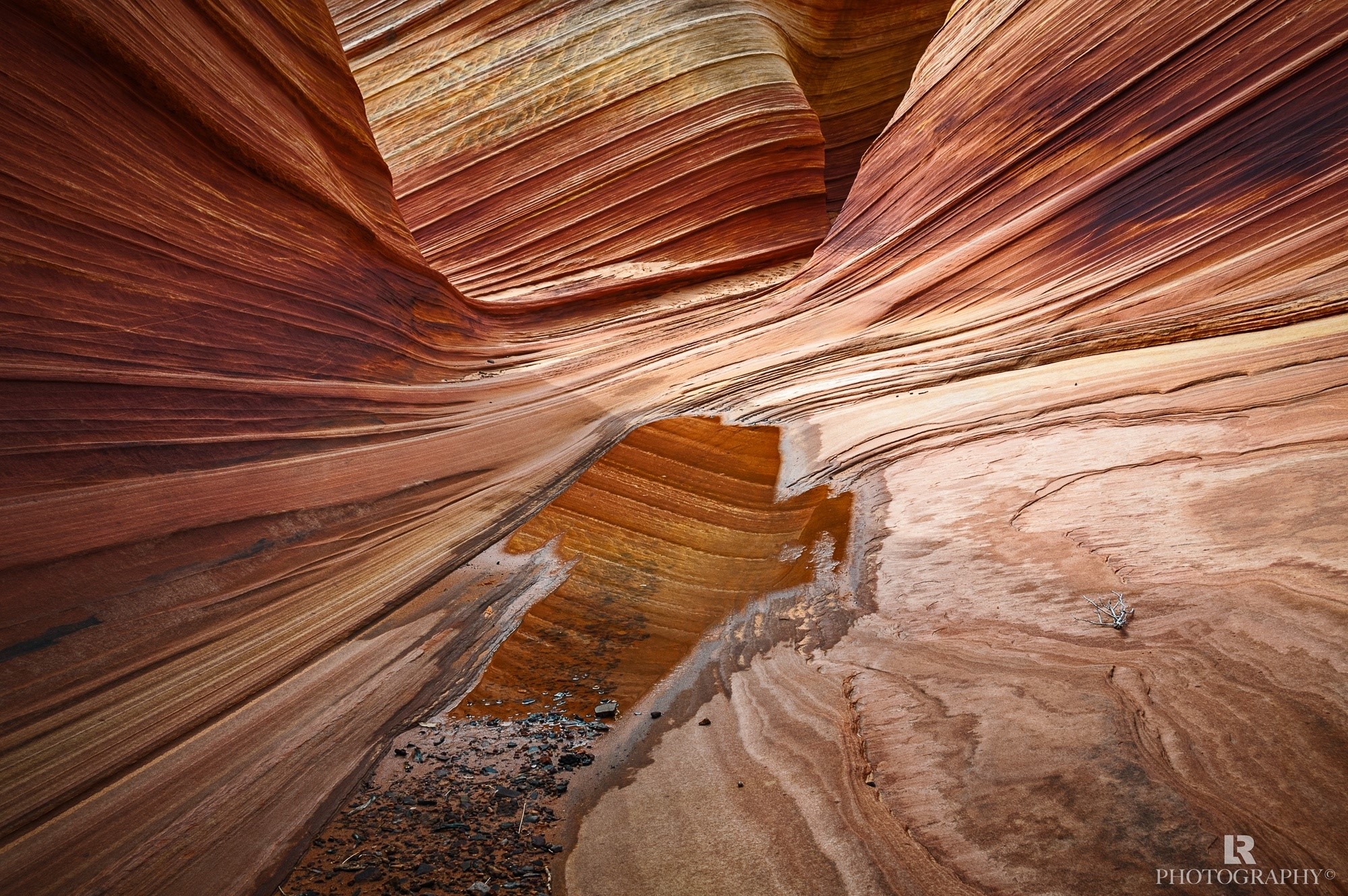 The Wave sandstone formation in Arizona HD Wallpaper