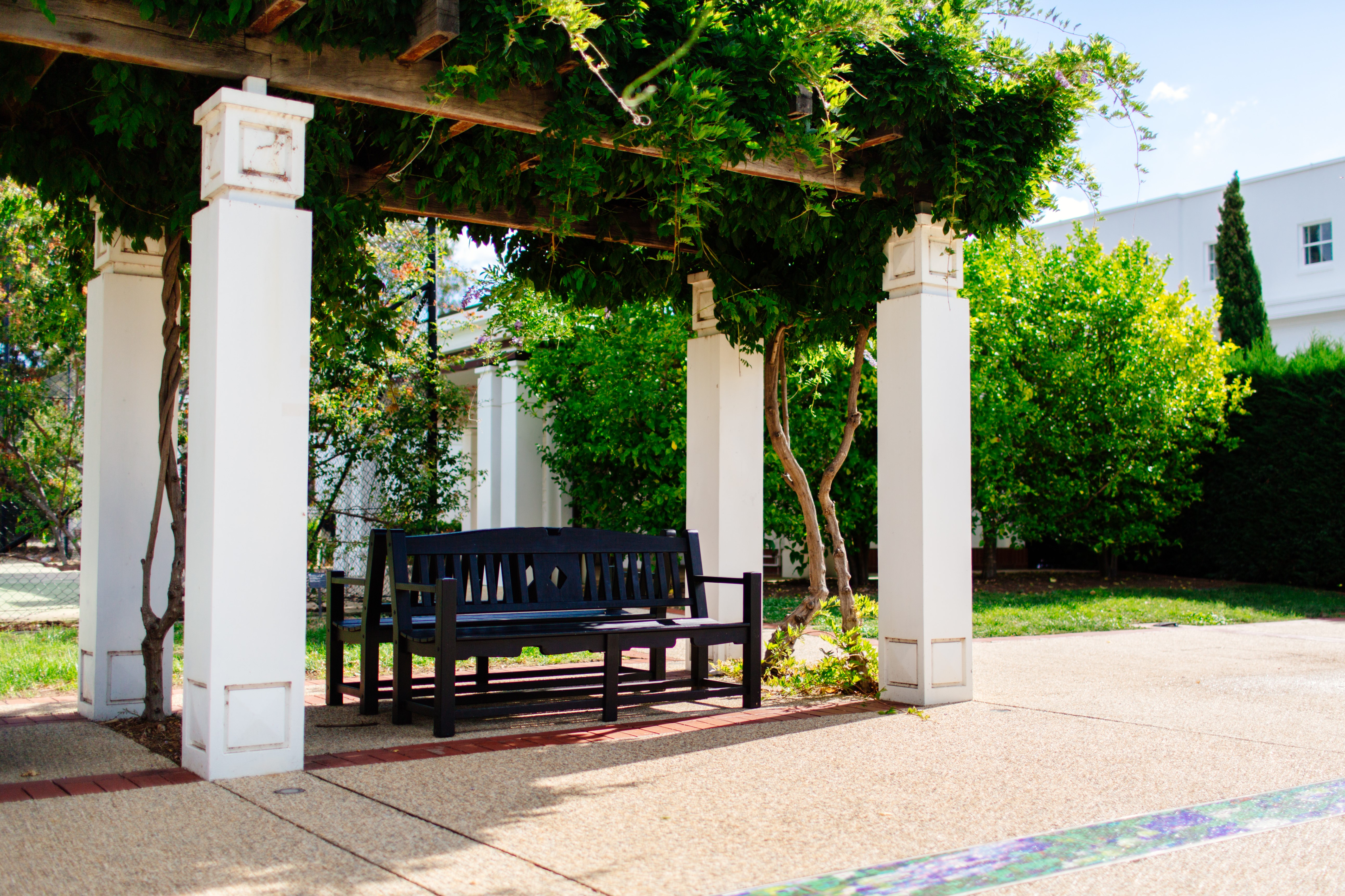 Park bench under a pergola with greenery HD Wallpaper