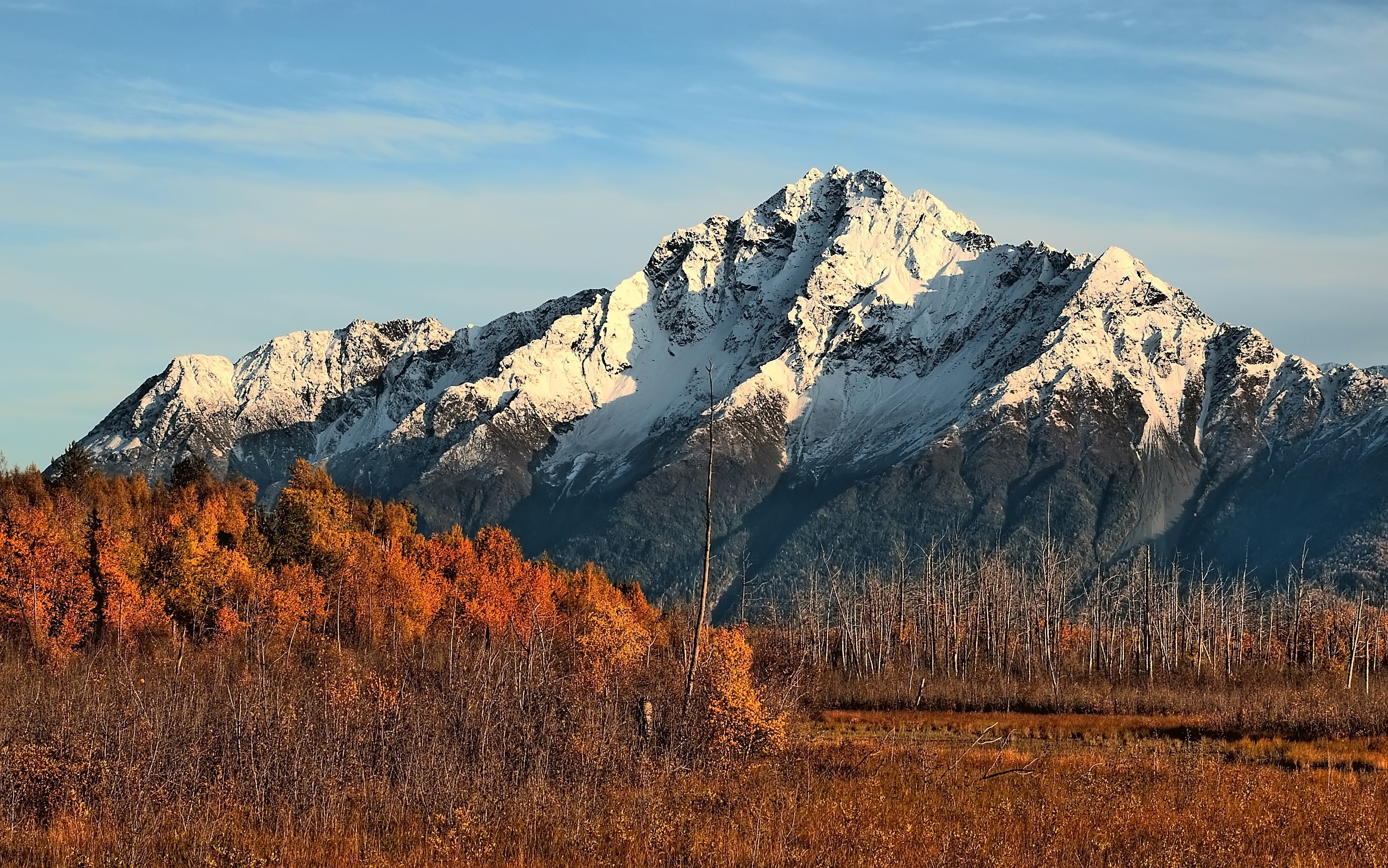 Snow-capped mountains in autumn with colorful trees HD Wallpaper