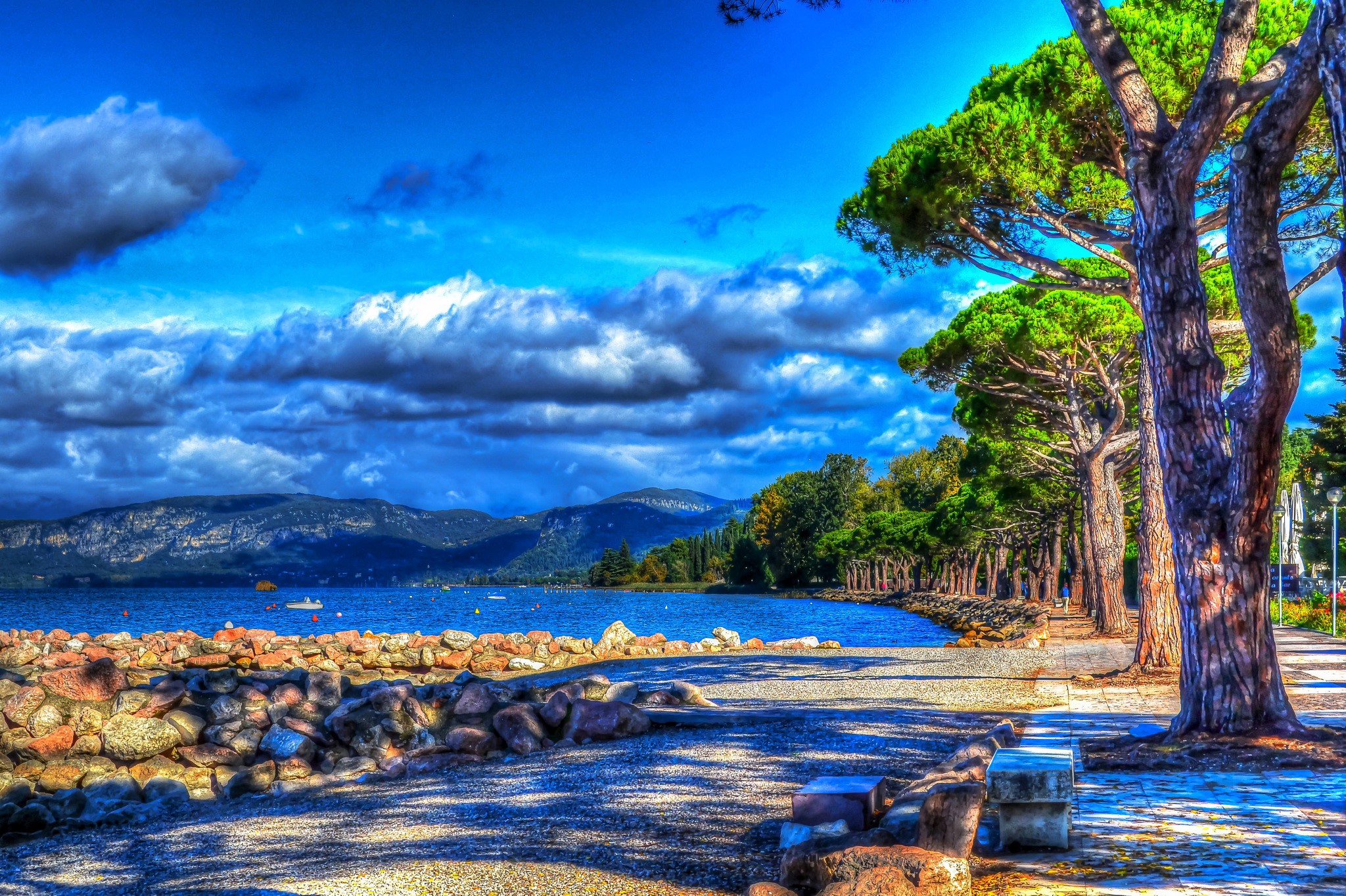 Scenic lakefront with trees and mountains HD Wallpaper
