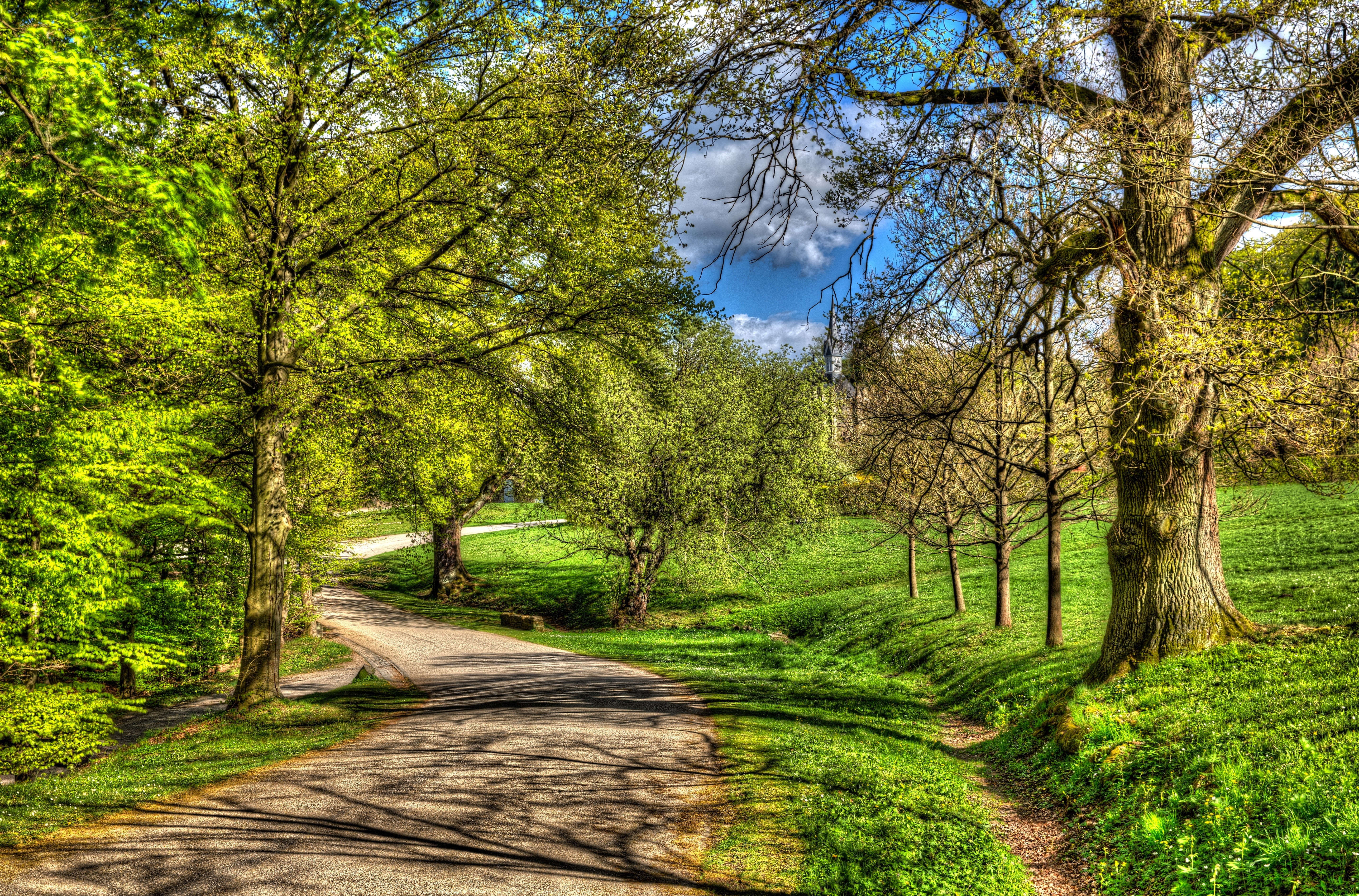 Road through a park with trees in Germany HD Wallpaper