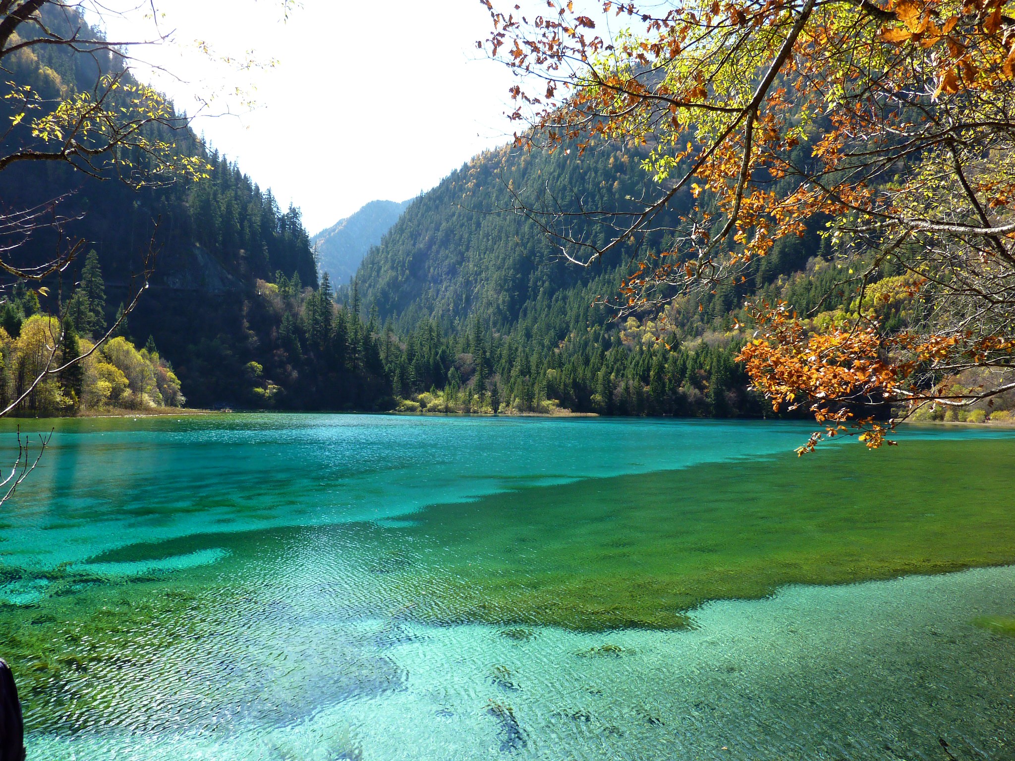 Turquoise lake in Jiuzhaigou National Park, China HD Wallpaper