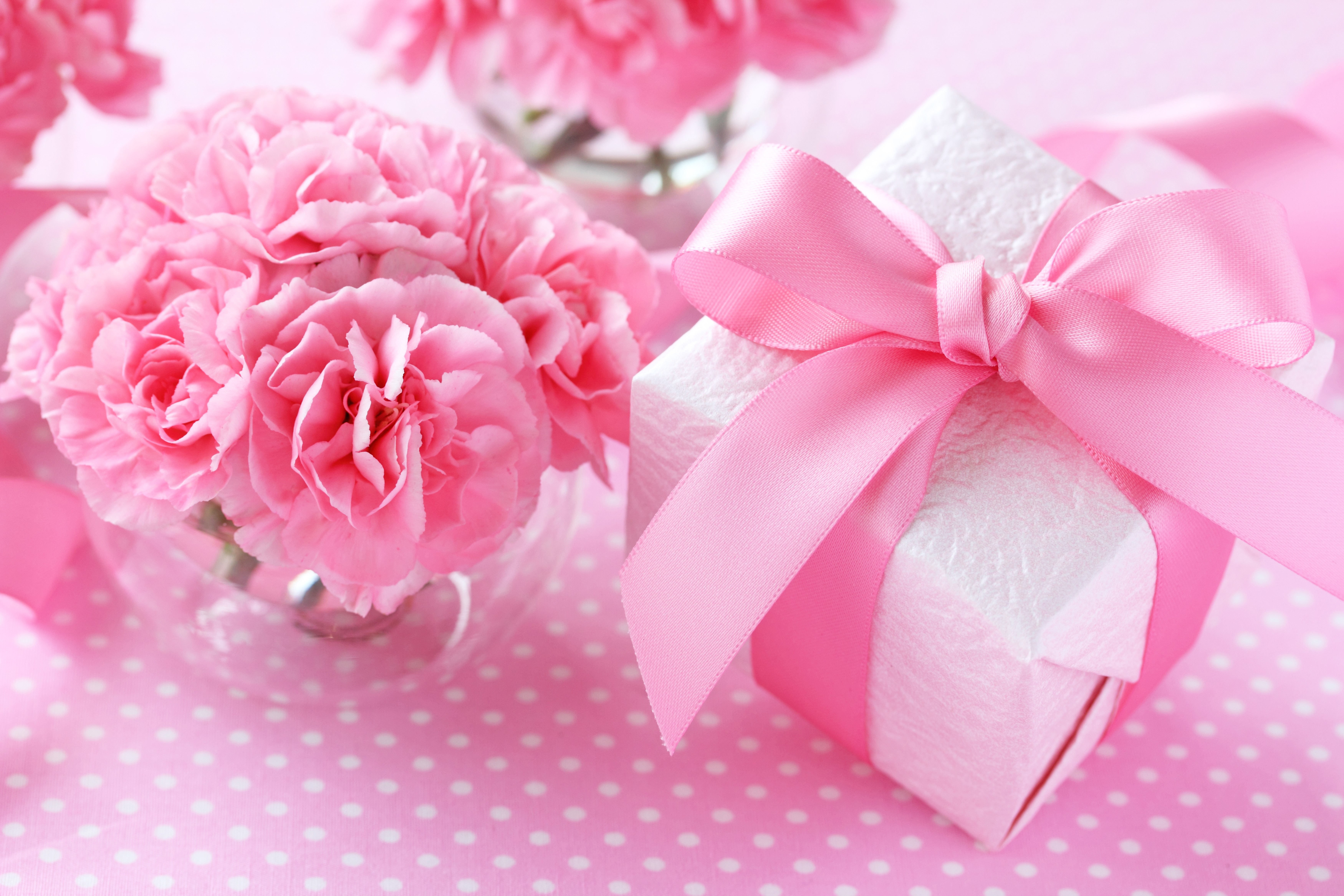 Pink Carnations and Gift Box with Pink Bow HD Wallpaper