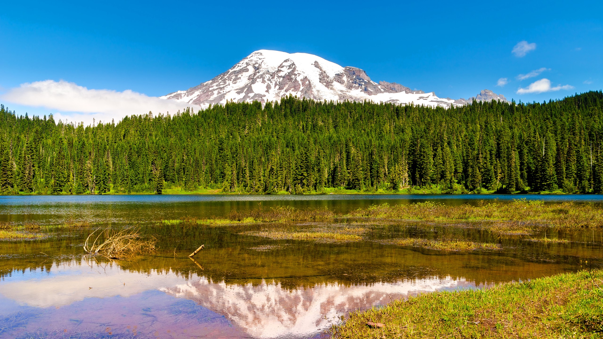 Snow-capped Mount Rainier reflected in a lake with a forest HD Wallpaper