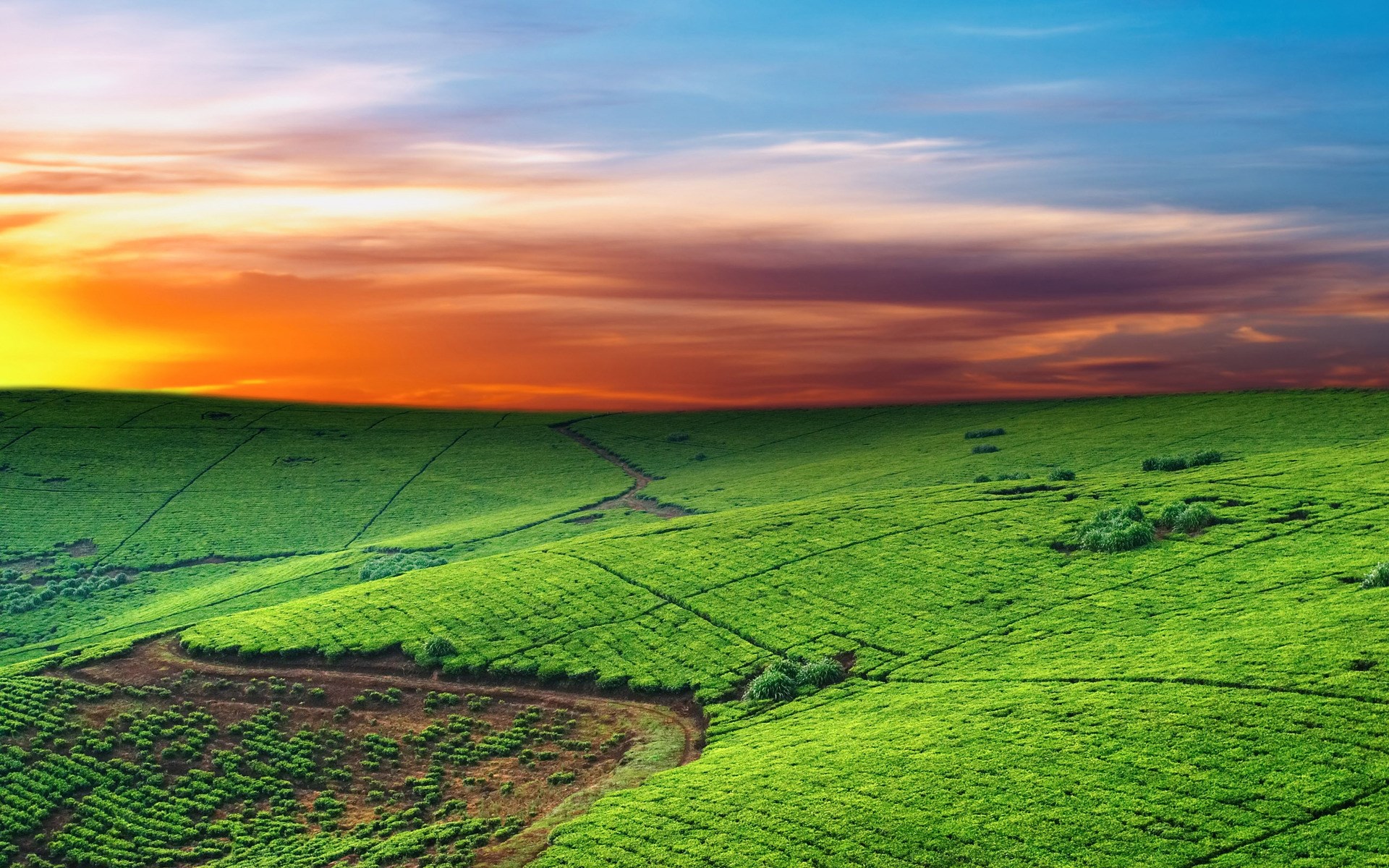 Rolling green hills under a colorful sunset sky HD Wallpaper