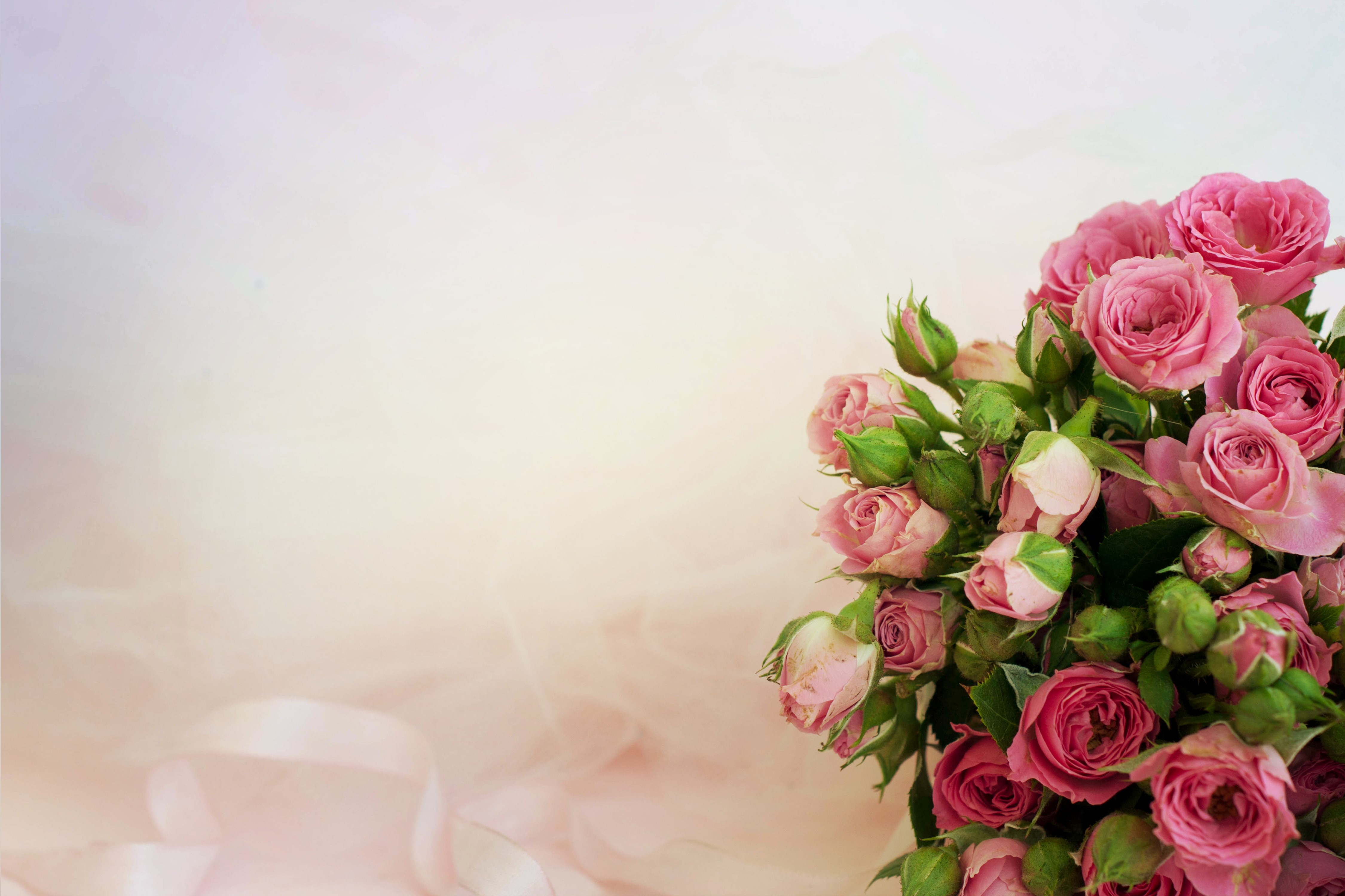 Pink Roses Bouquet with Ribbons HD Wallpaper