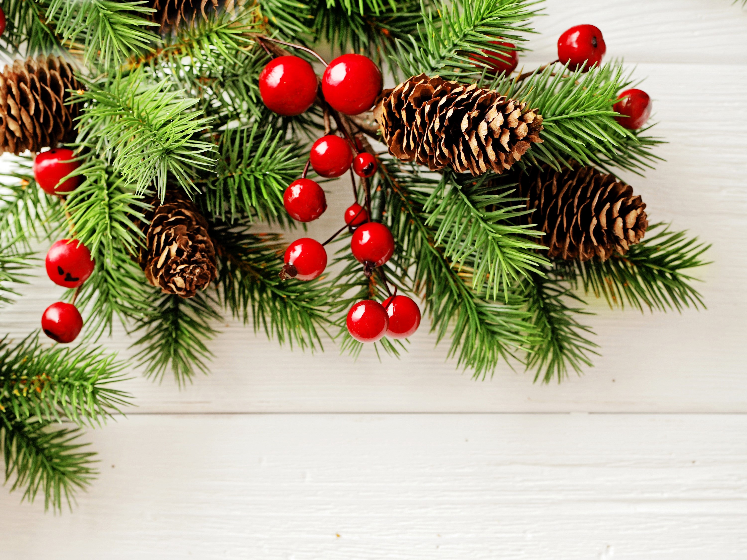 Christmas branches with pine cones and red berries HD Wallpaper