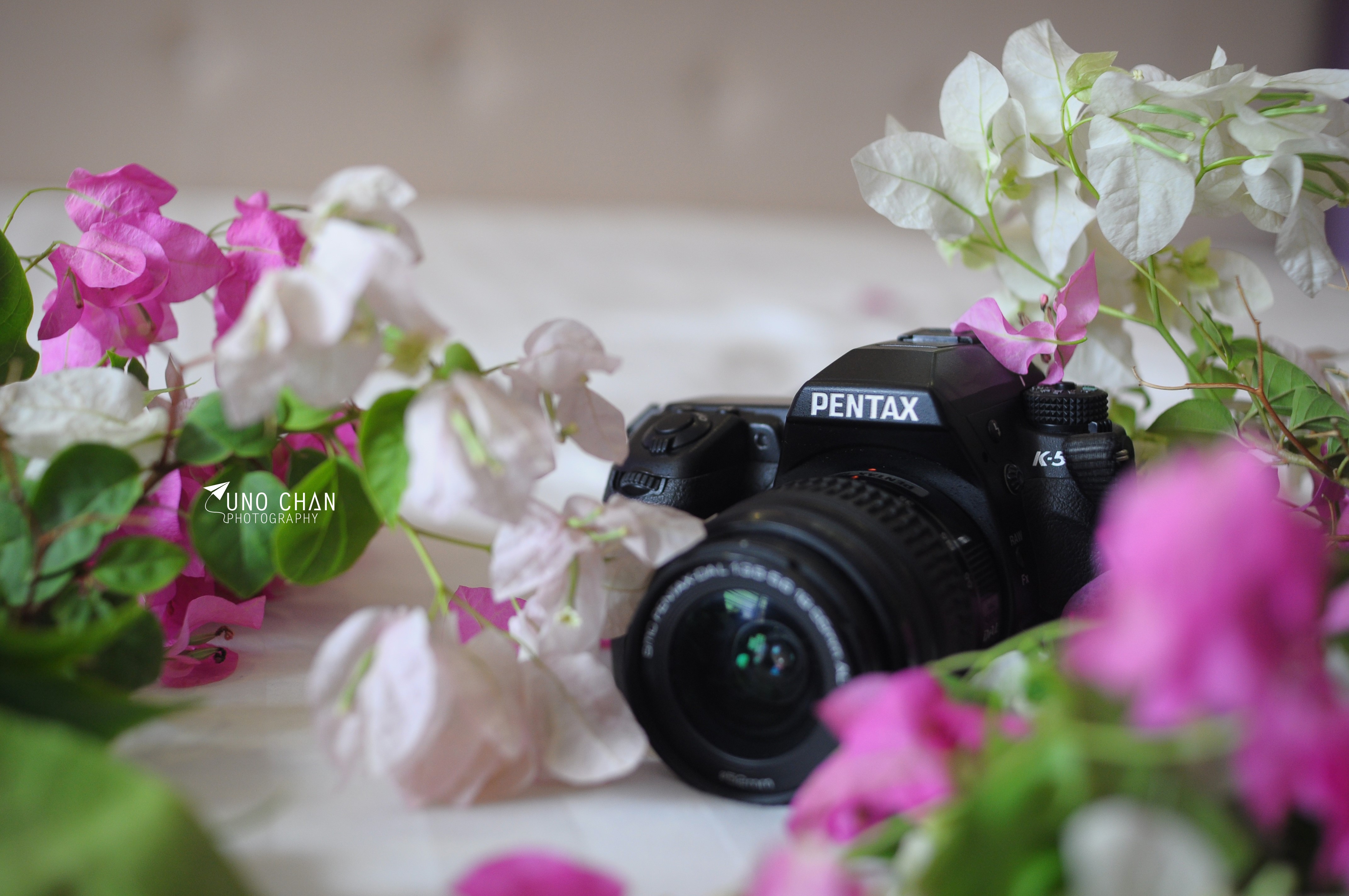 Pentax K-5 camera with flowers HD Wallpaper