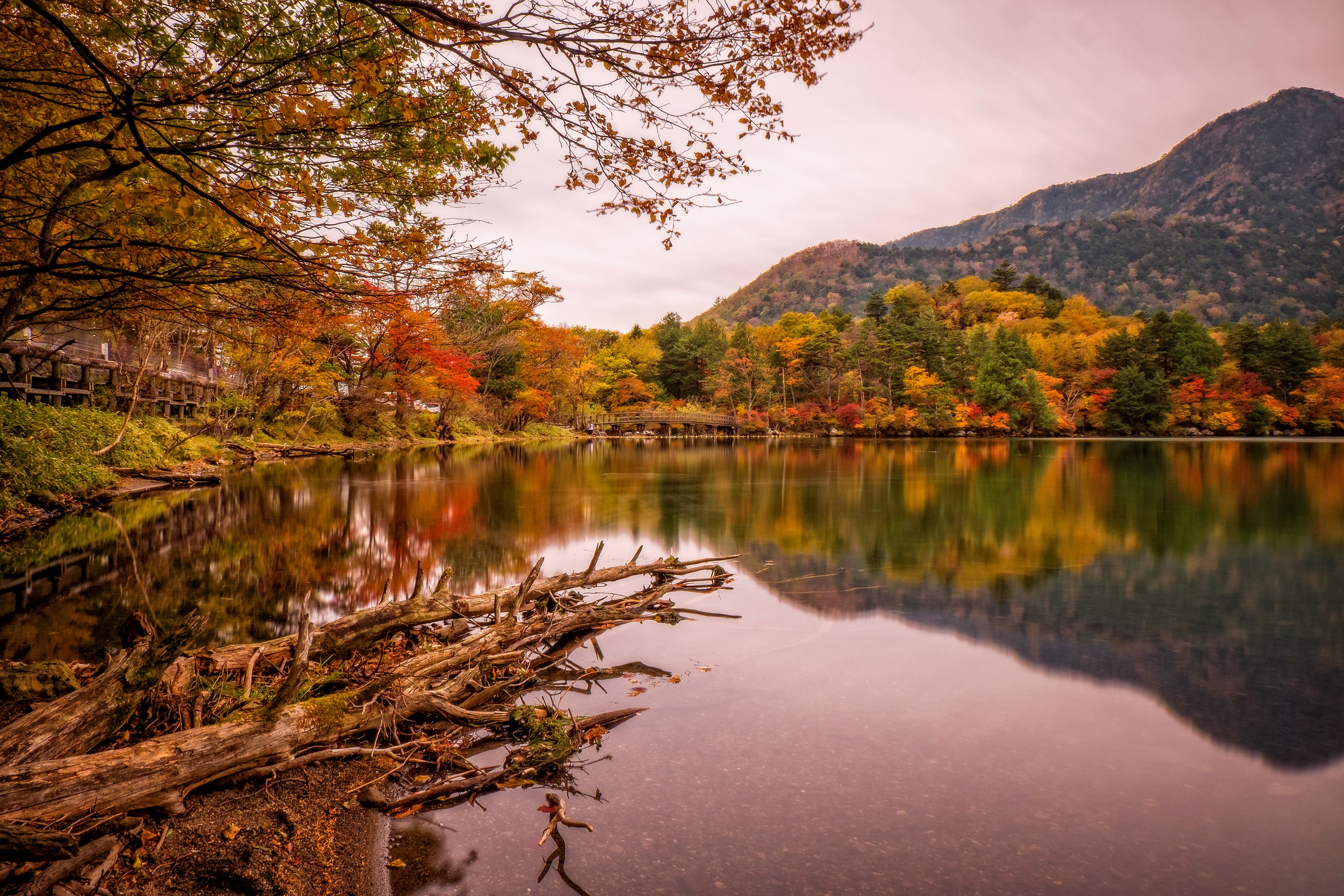 Autumn Reflection on Nikko Pond in Japan HD Wallpaper