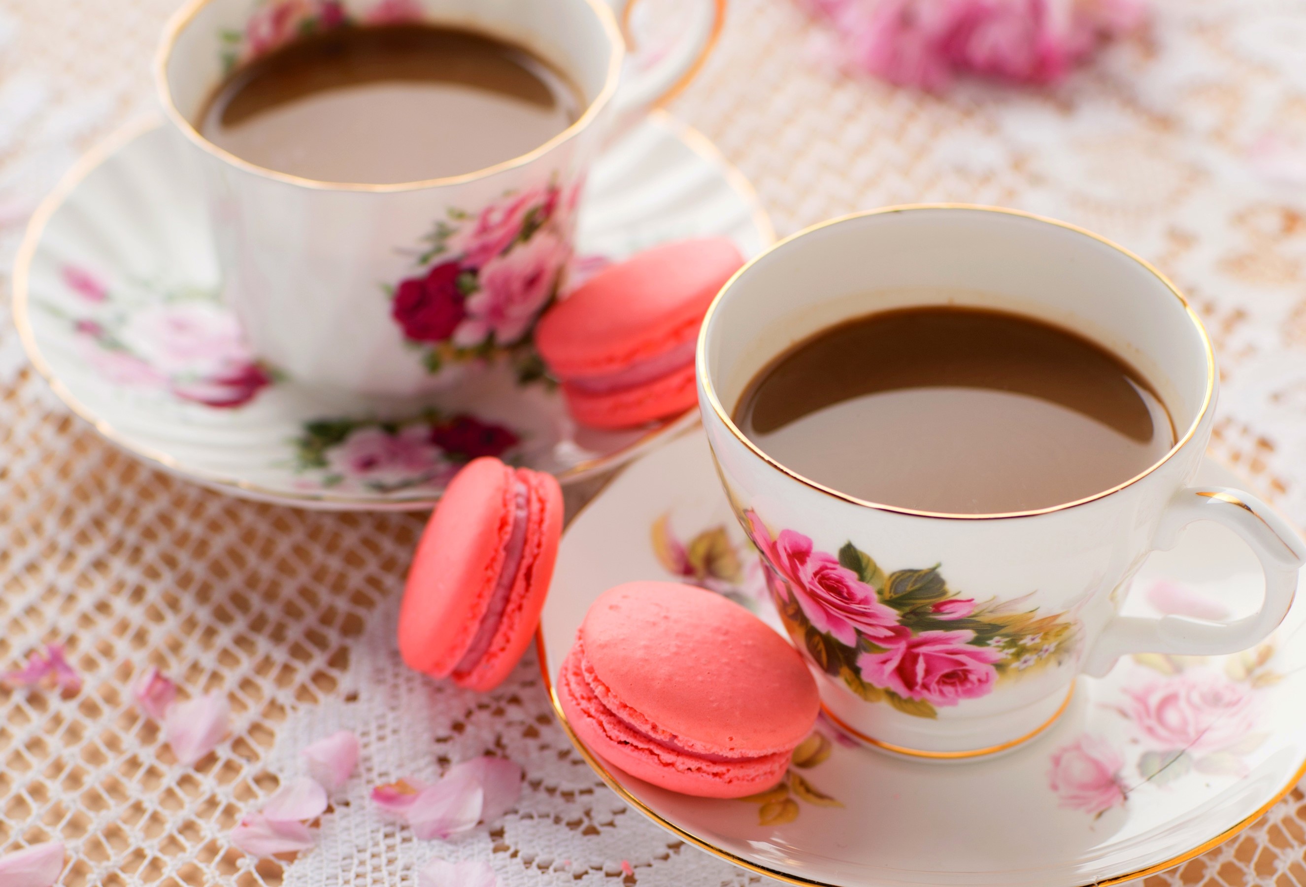Two cups of coffee with macarons HD Wallpaper