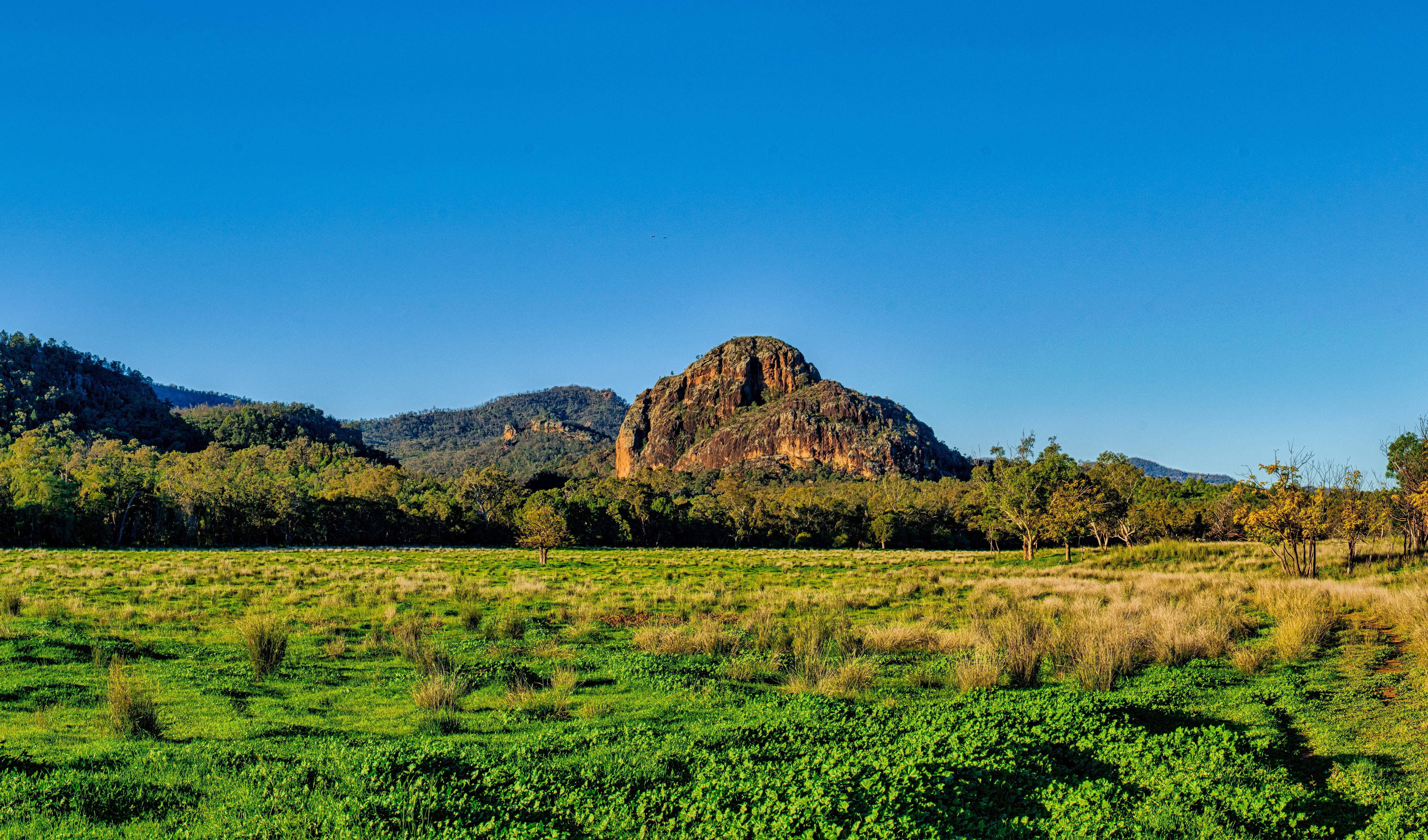 Warrumbungles National Park Australia Mountains Forest Sky Grass HD Wallpaper