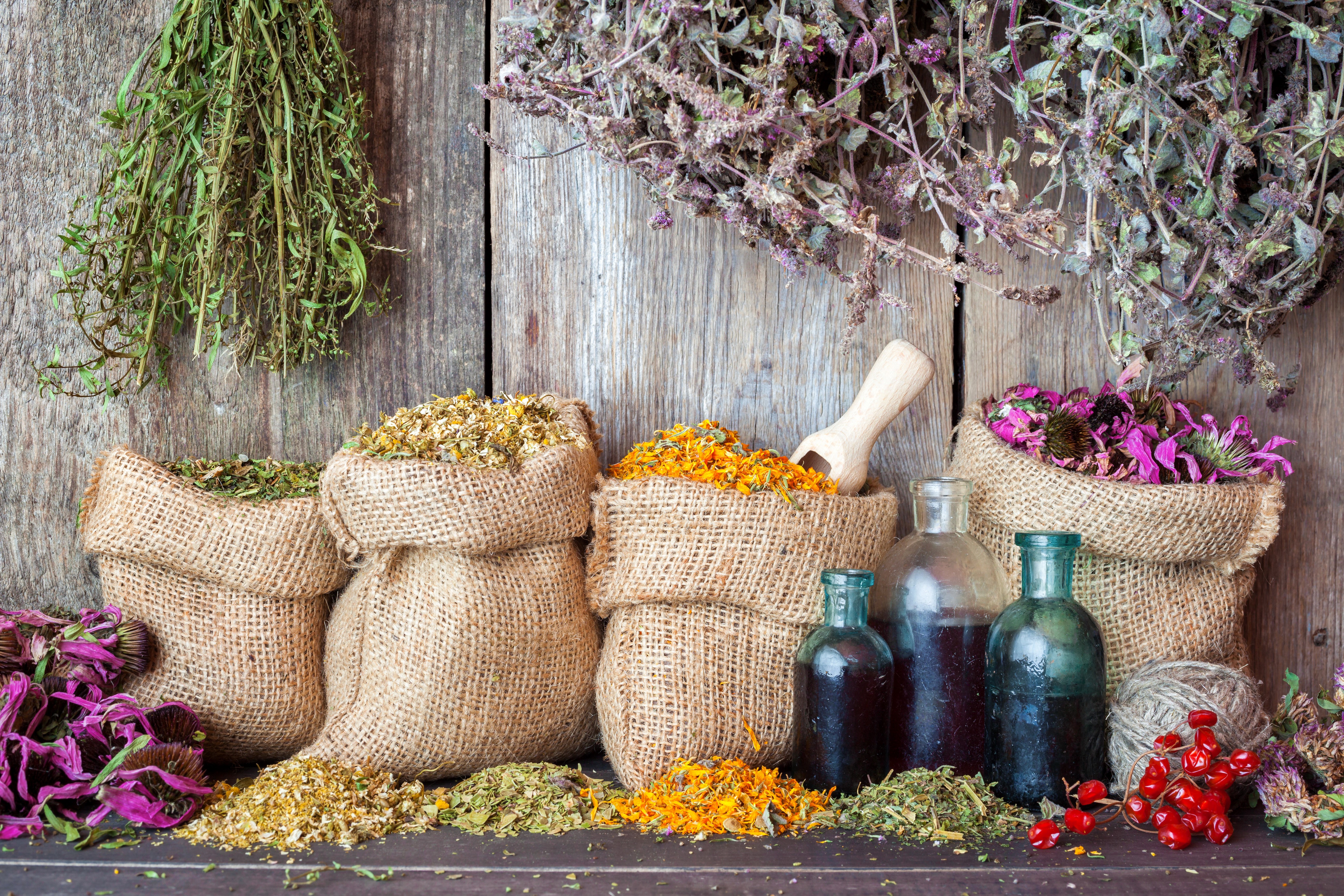 Dried Herbs and Spices in Burlap Sacks HD Wallpaper