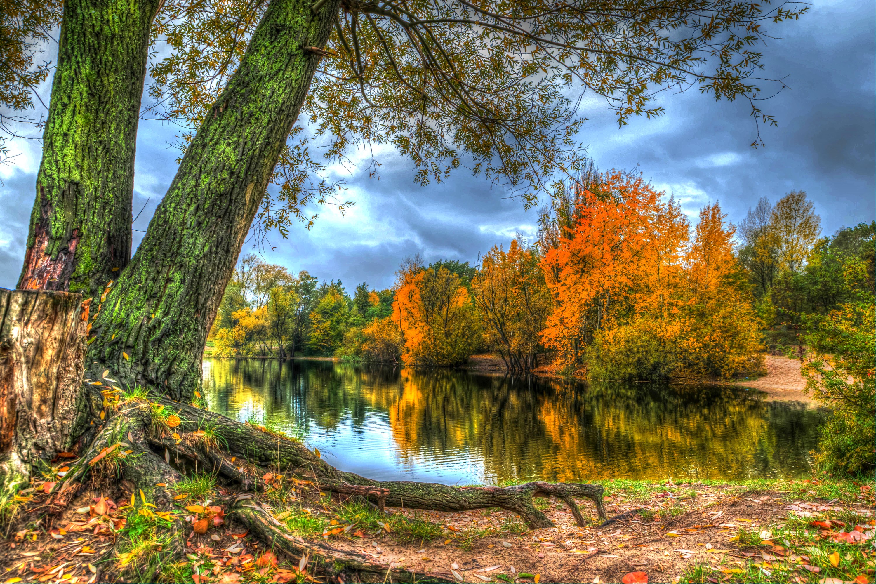 Autumn trees reflected in a lake HD Wallpaper