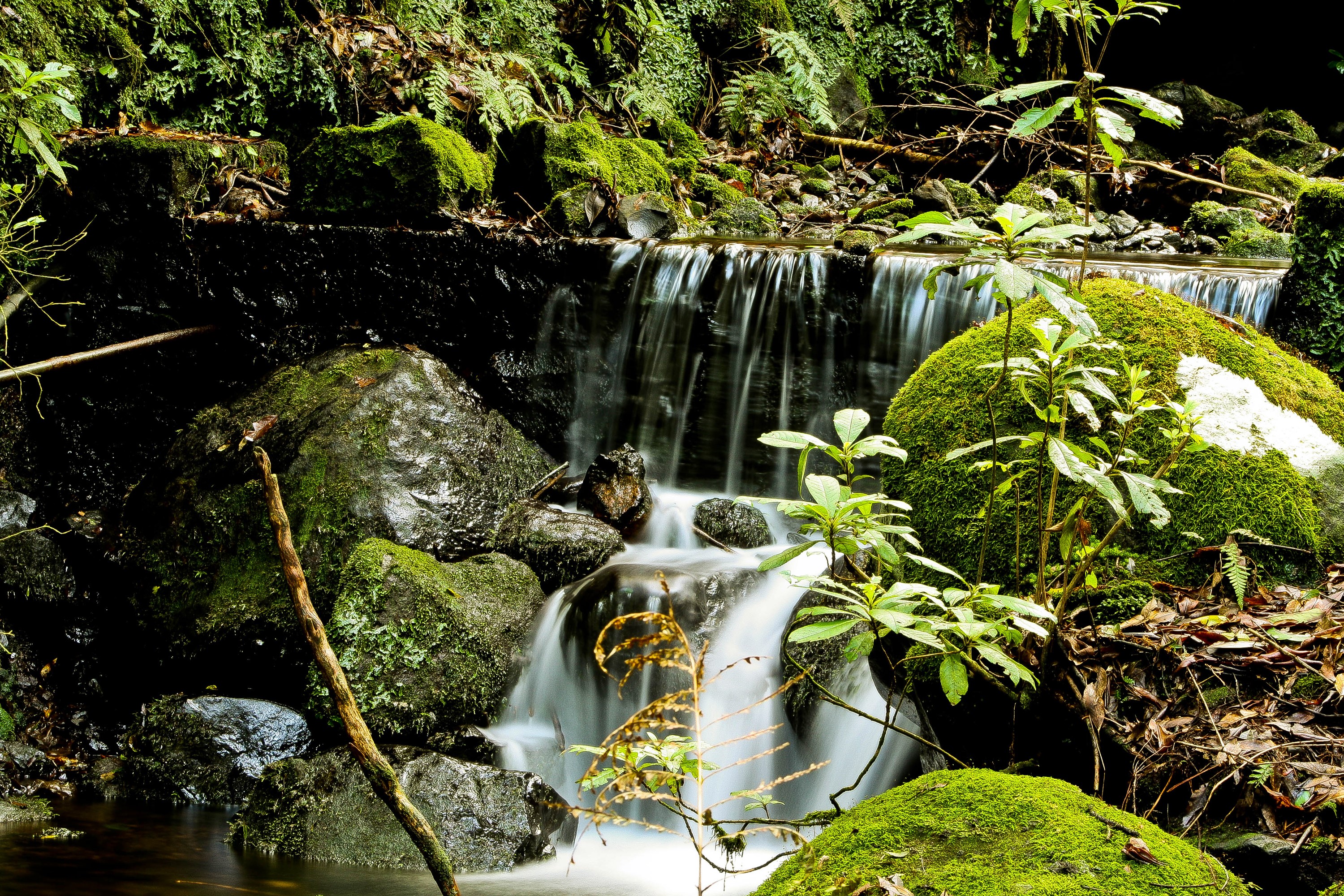 Mossy rocks and a small waterfall in Madeira, Portugal HD Wallpaper