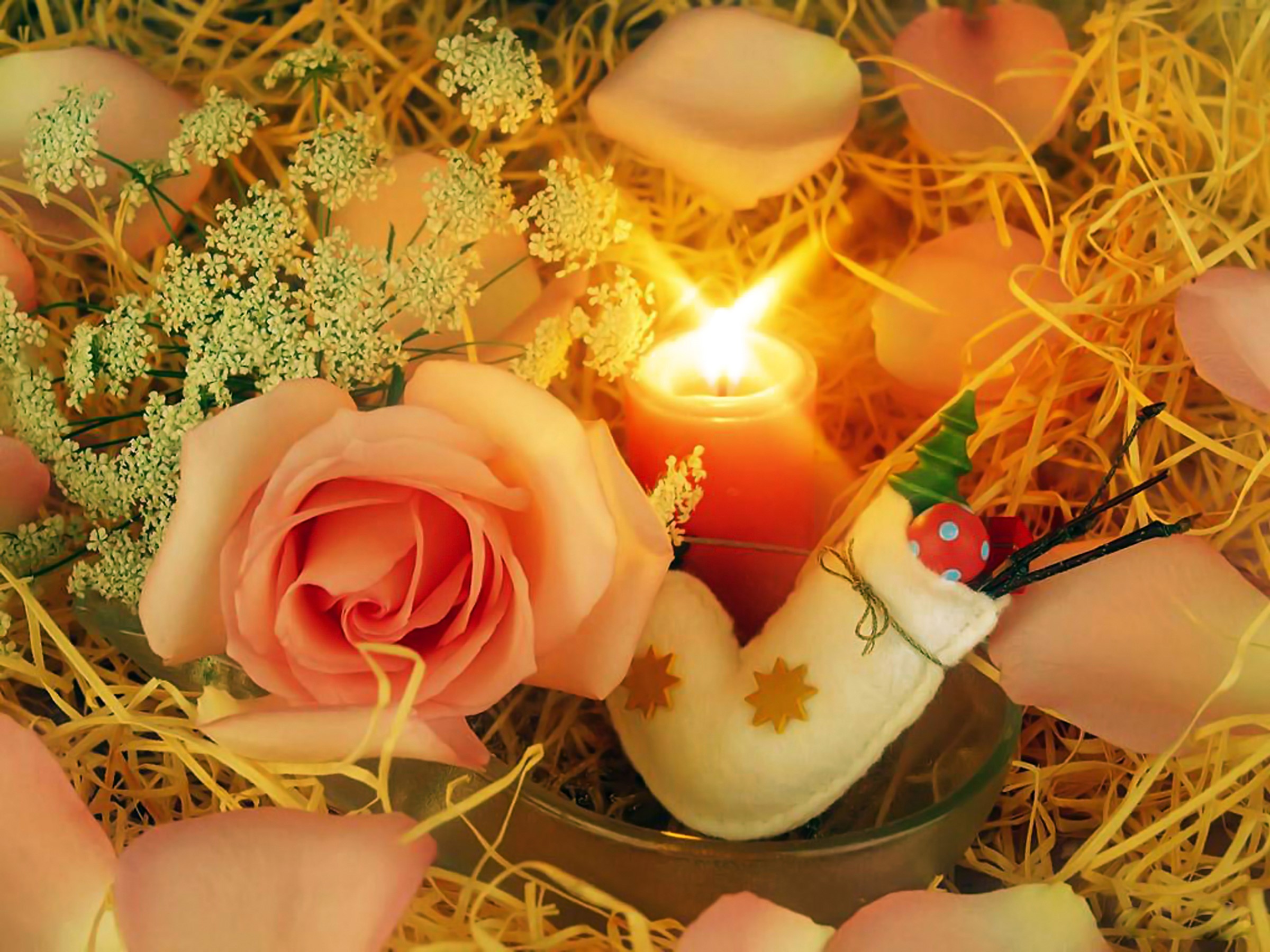 Christmas candle with rose and decorations HD Wallpaper