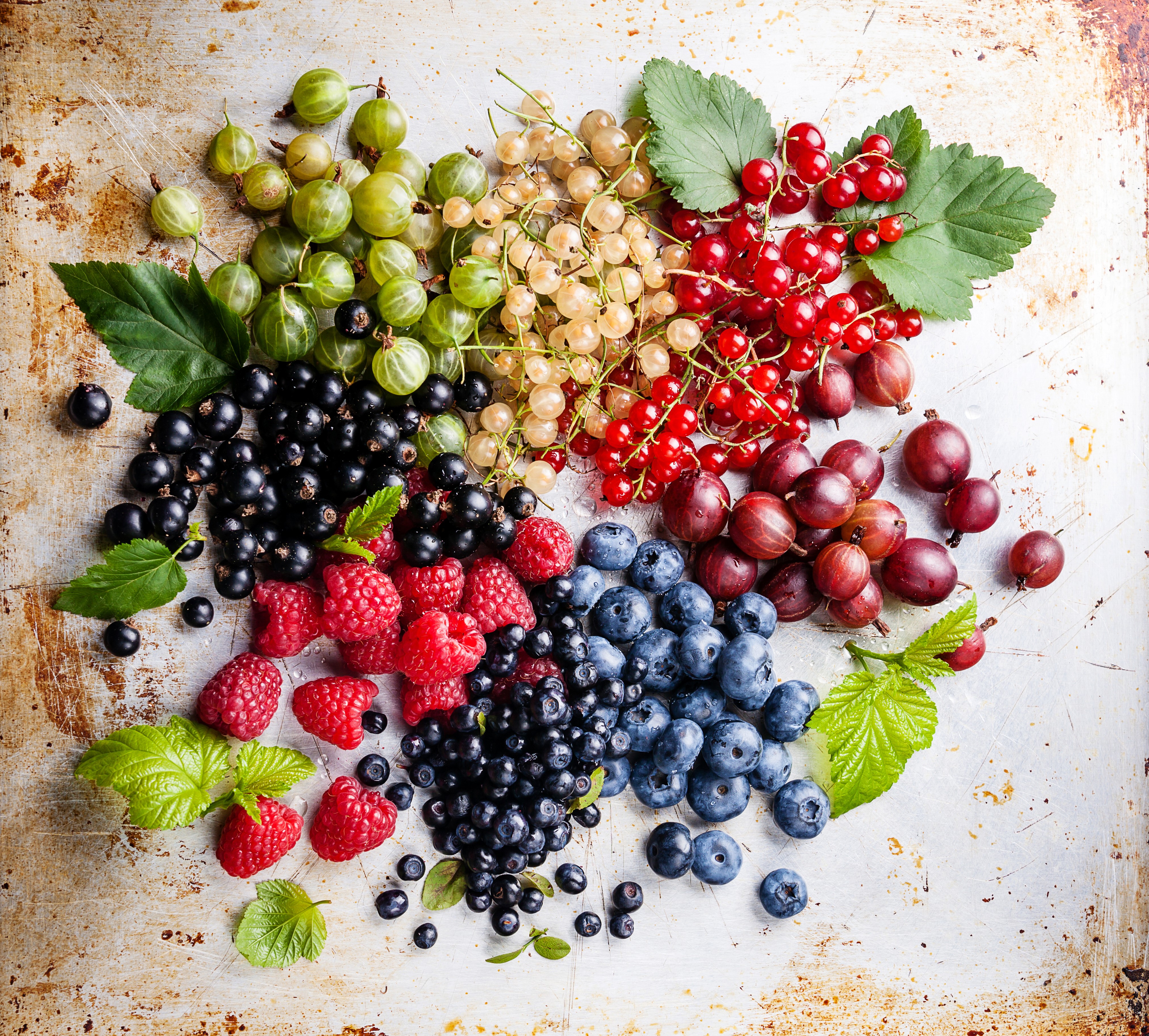 Assortment of Fresh Berries and Currants HD Wallpaper