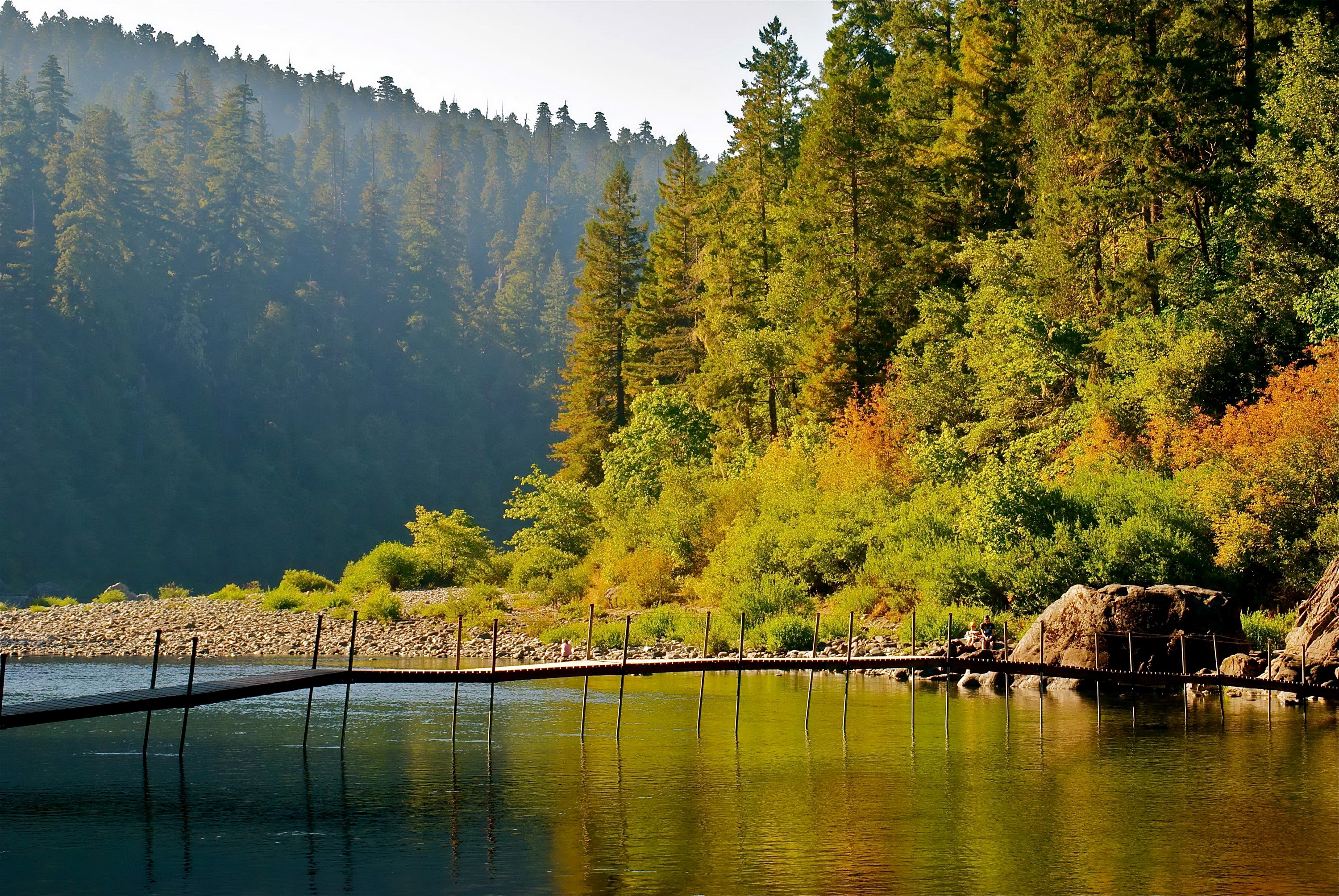 Wooden pier on a lake with a forest background HD Wallpaper