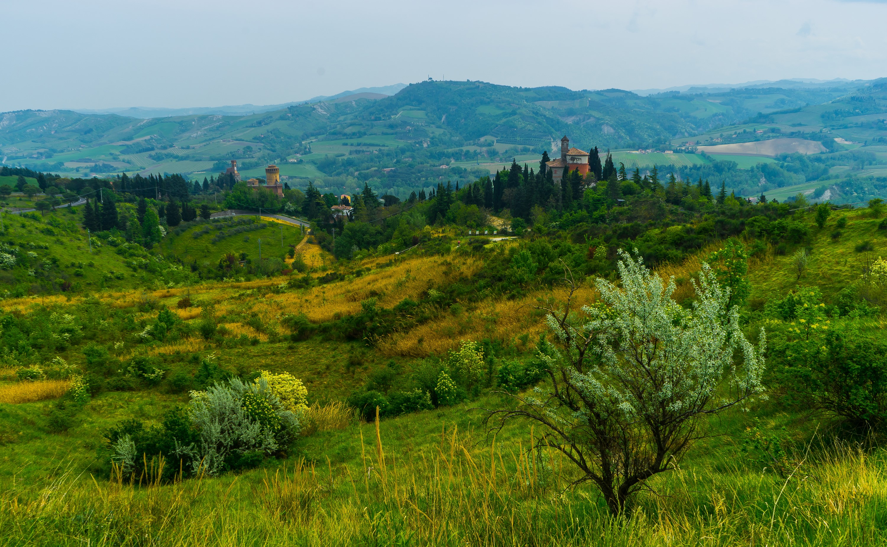 Brisighella, Italy: Rolling green hills and historic buildings HD Wallpaper
