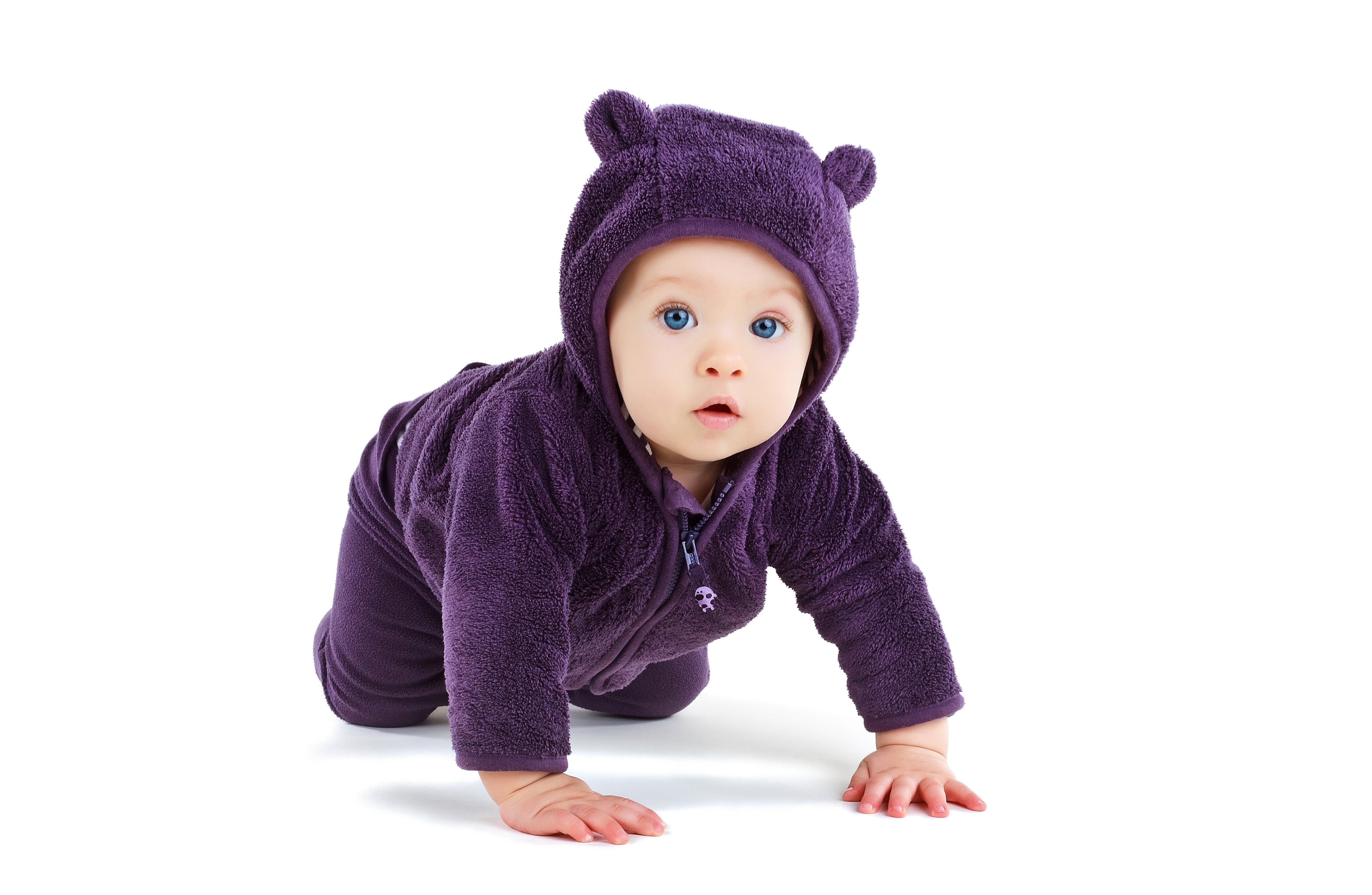 Baby in purple bear costume crawling HD Wallpaper