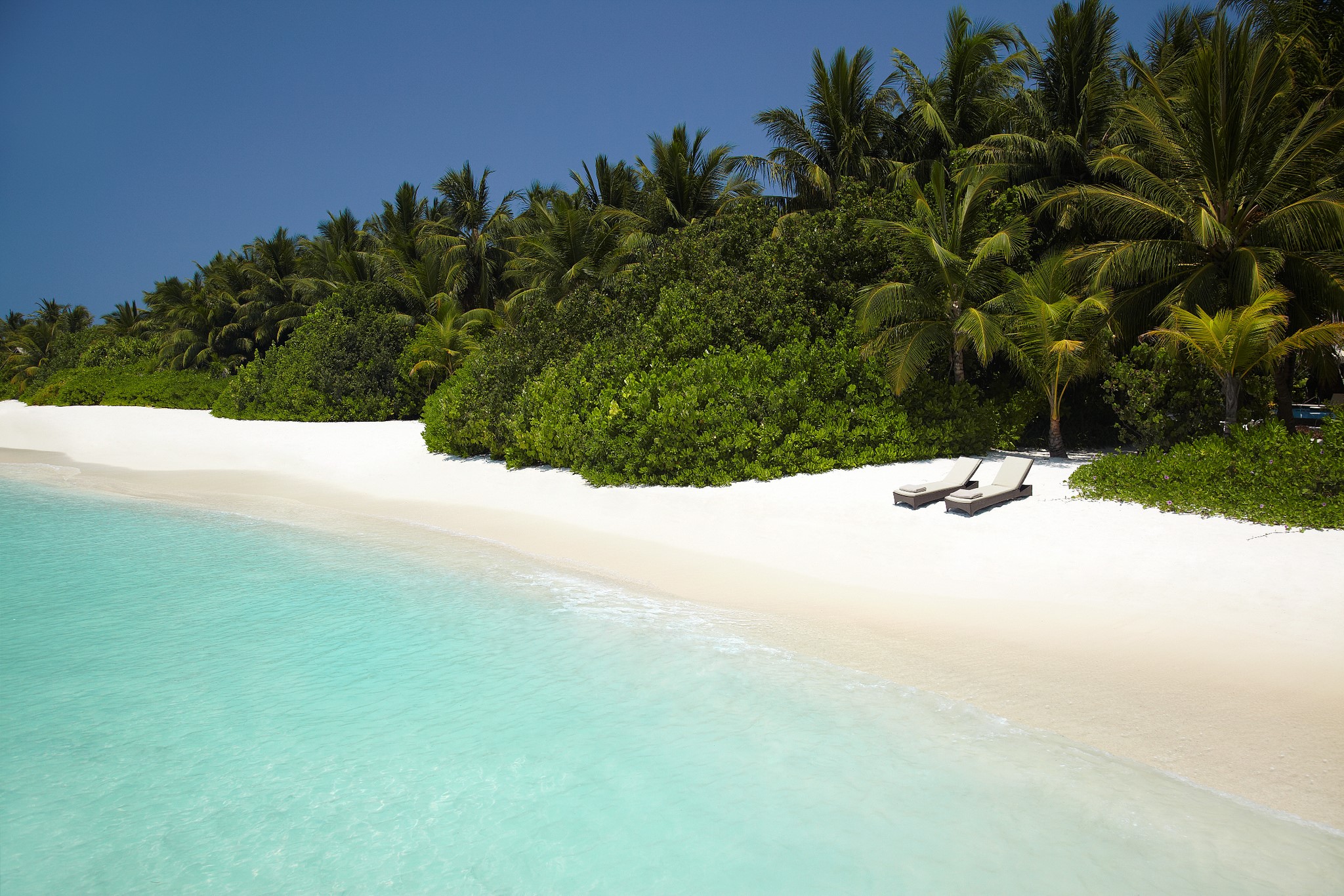 Tropical beach with palm trees and lounge chairs HD Wallpaper