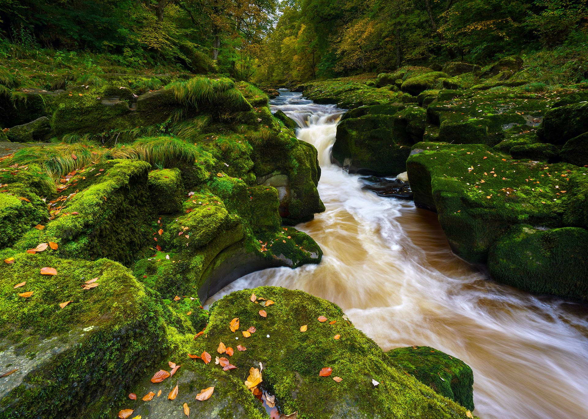 River Wharfe flowing through moss-covered rocks in Yorkshire Dales HD Wallpaper
