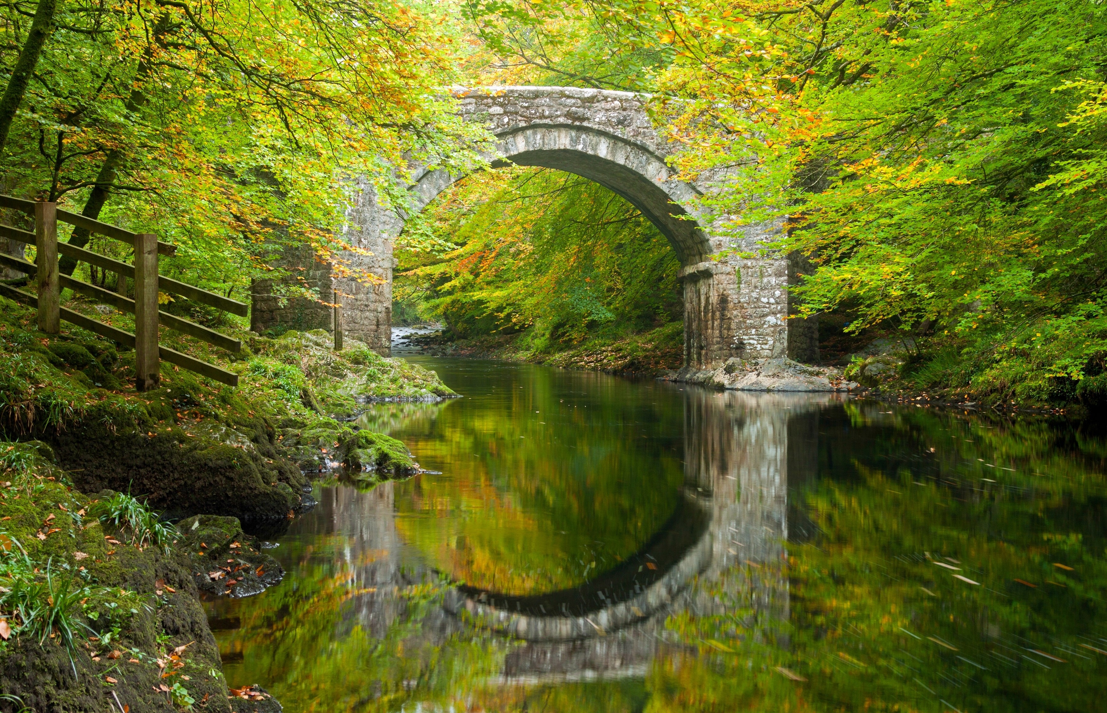 Stone bridge over a river in a forest HD Wallpaper