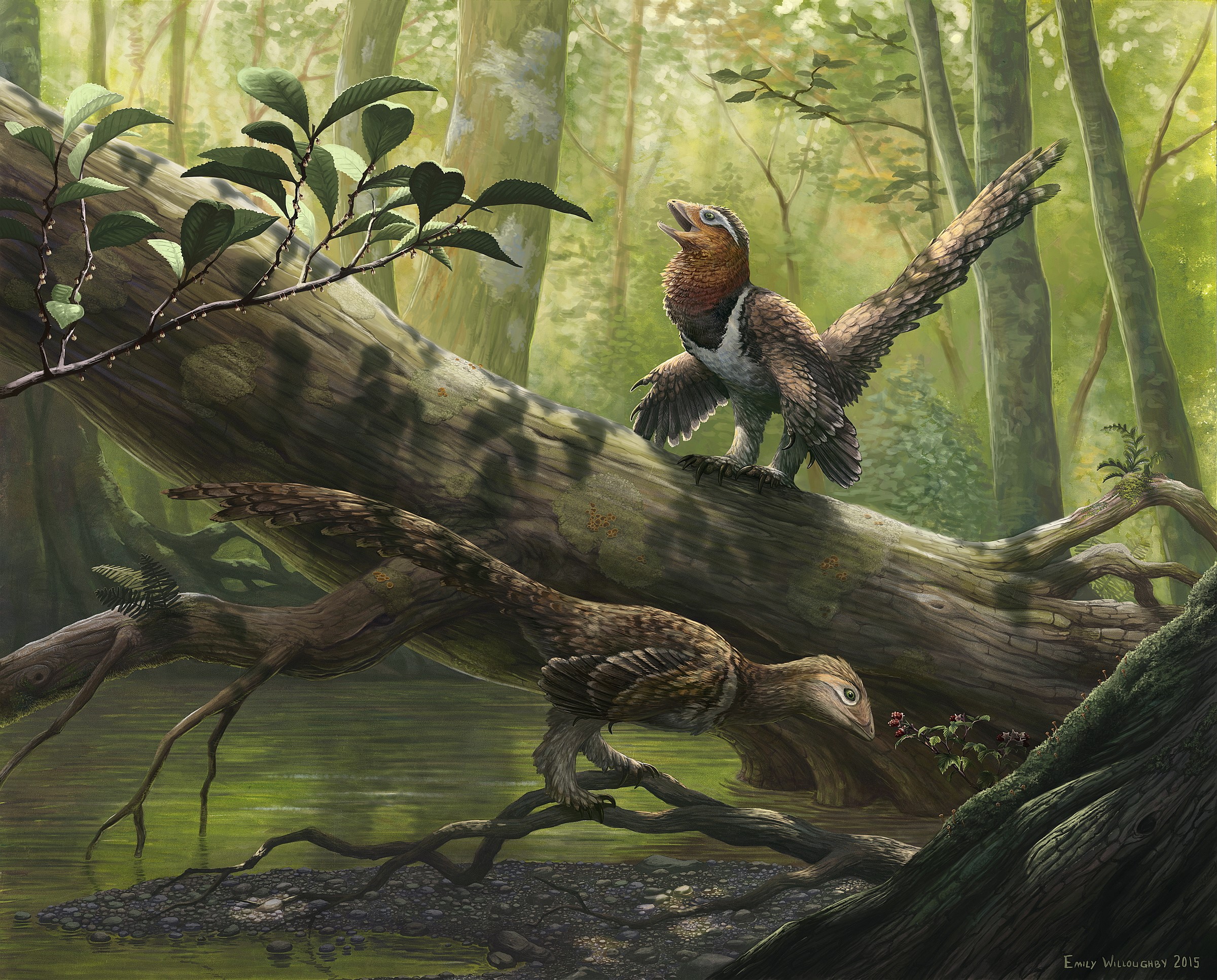 Two feathered dinosaurs in a forest HD Wallpaper