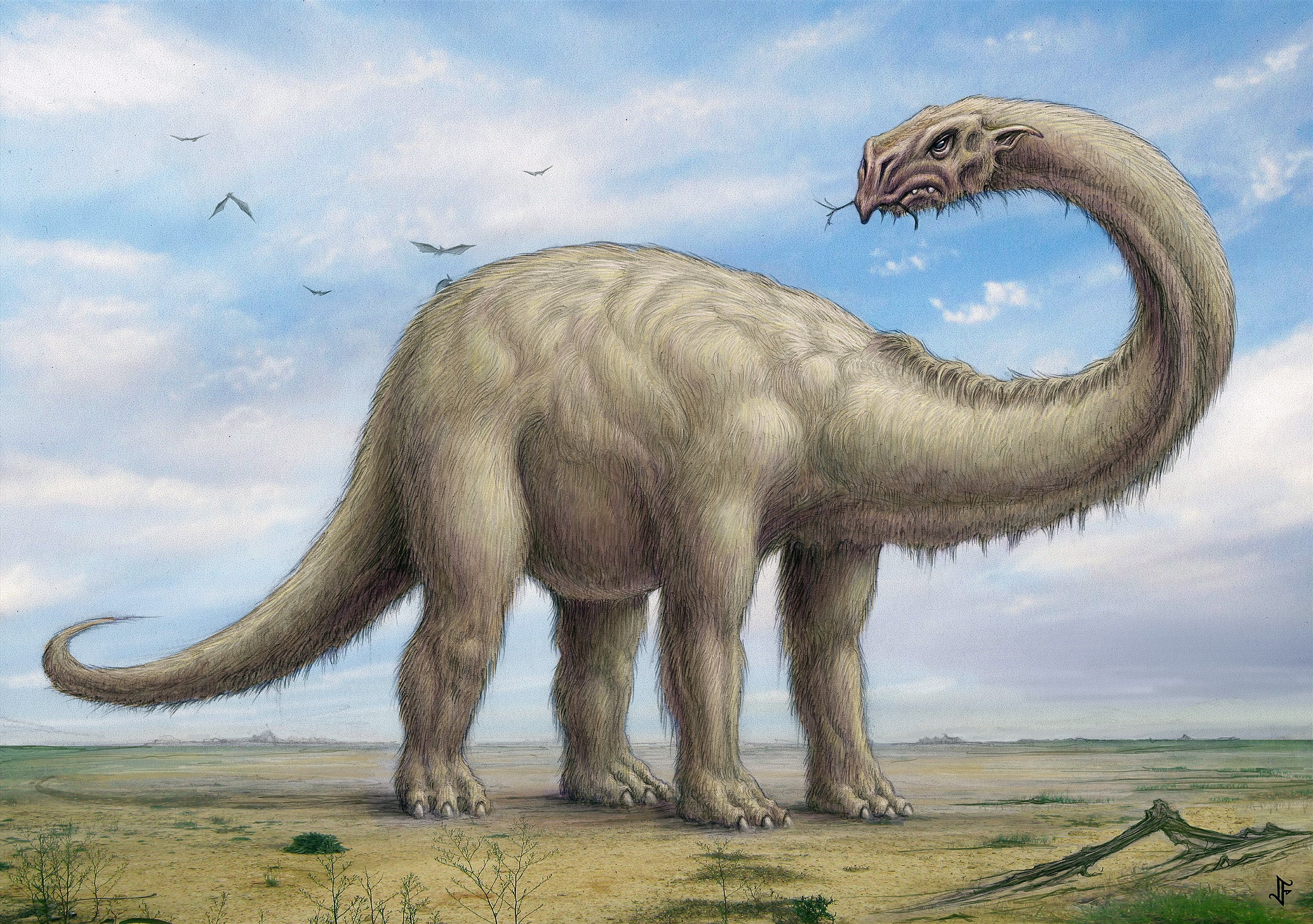 Anachrotherium giganteus dinosaur in a field HD Wallpaper
