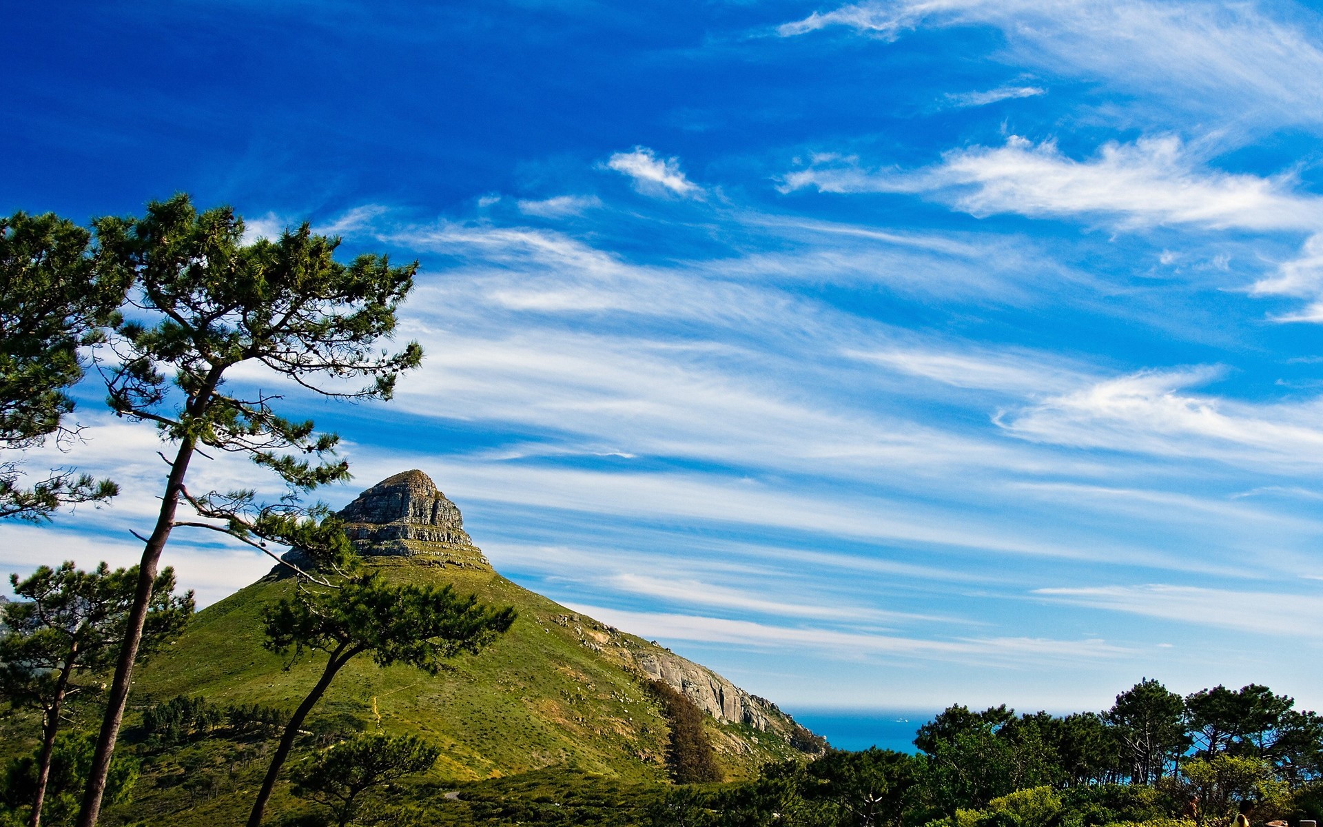 Lion's Head mountain and trees under a blue sky HD Wallpaper