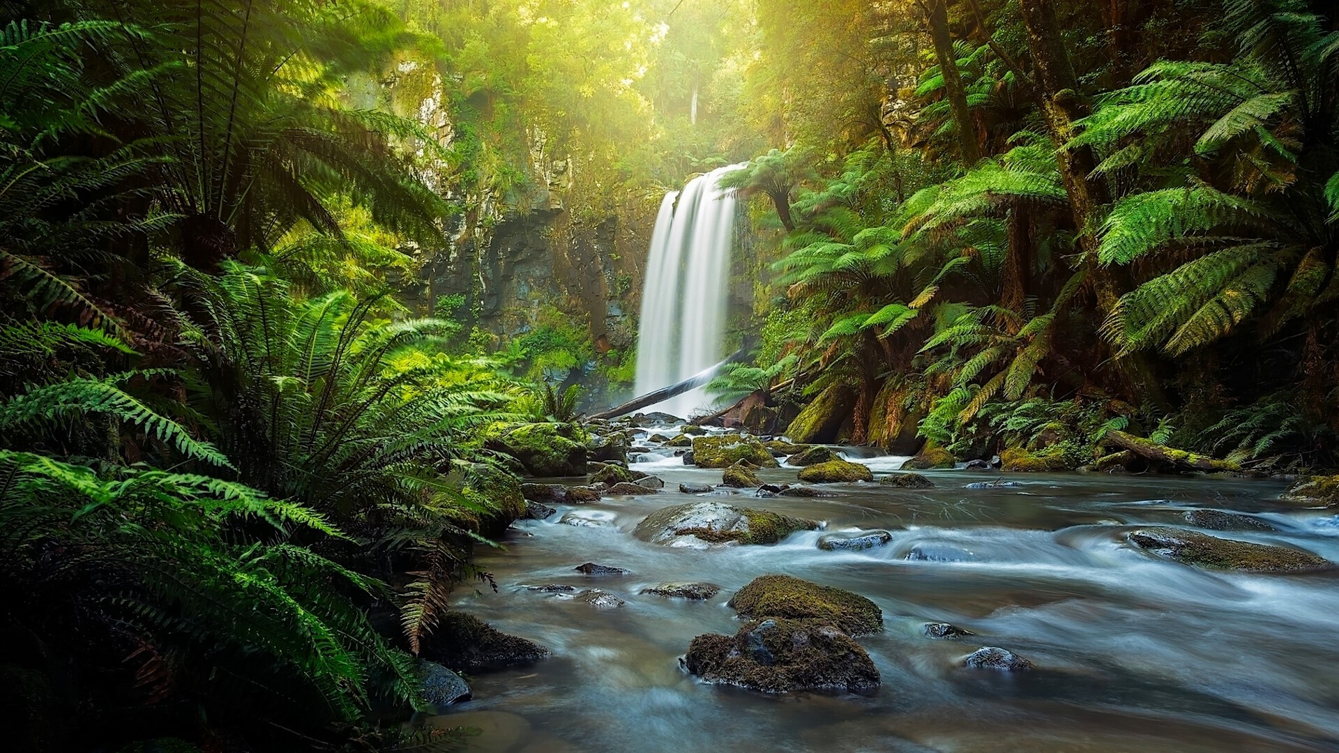 Hopetoun Falls, Great Otway National Park, Victoria, Australia HD Wallpaper