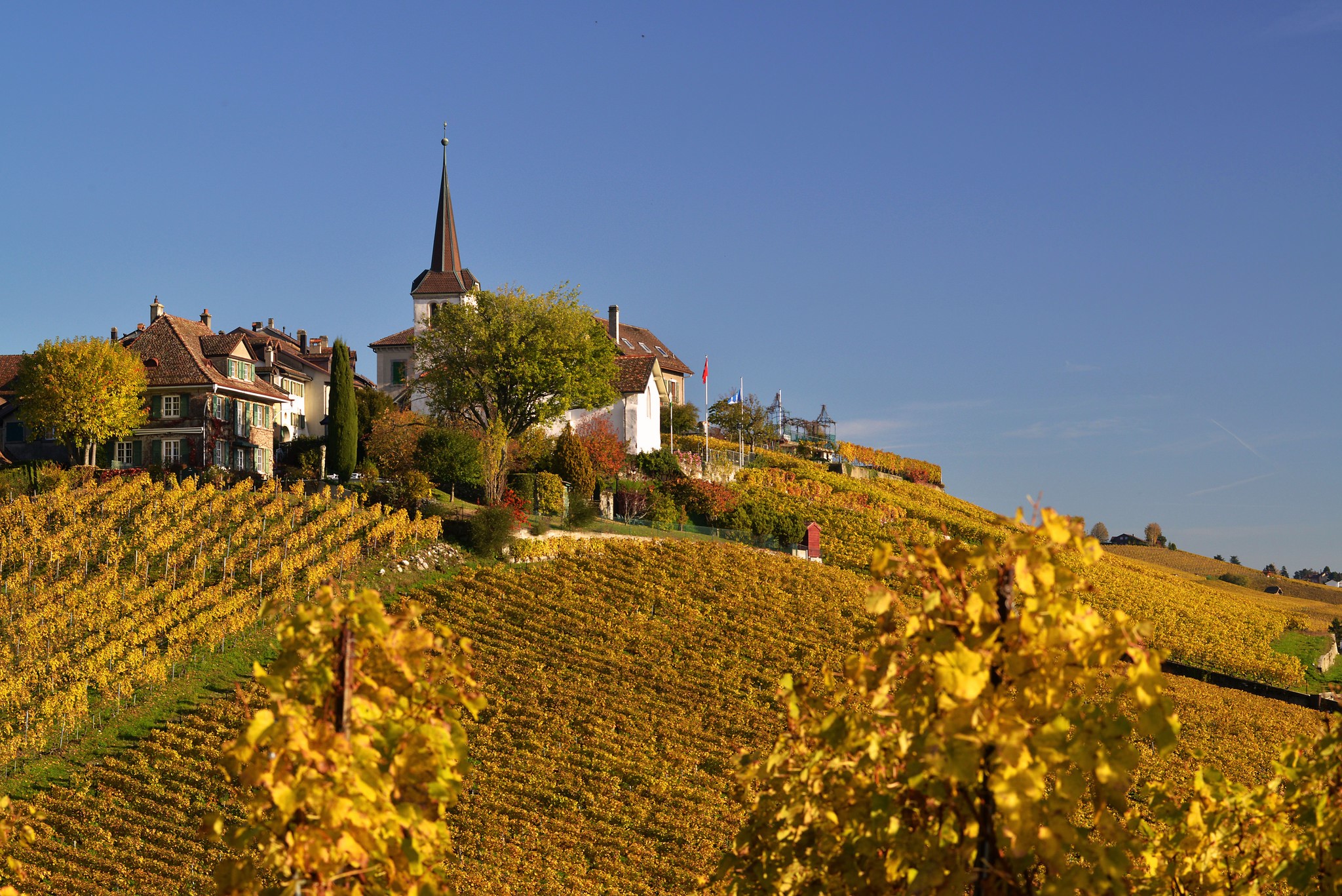 Autumn vineyard with village and church HD Wallpaper
