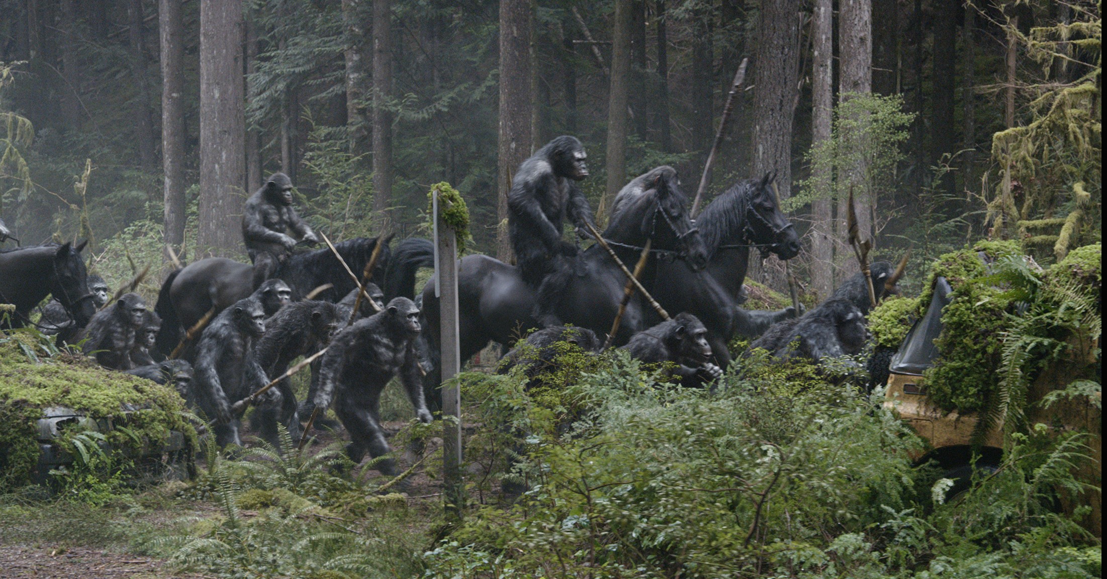 Monkeys on horses in a forest HD Wallpaper