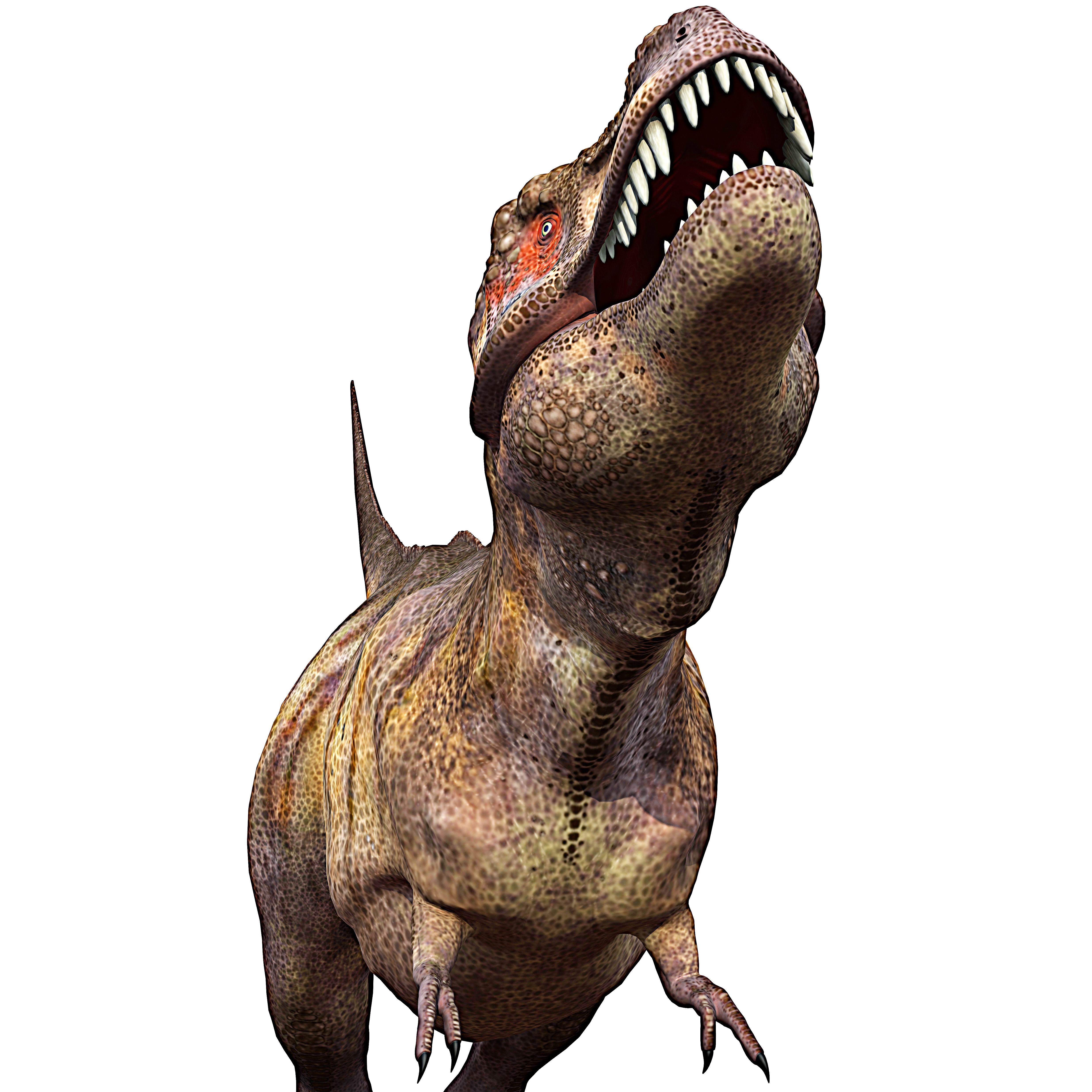 4K Tyrannosaurus Rex Dinosaur HD Wallpaper