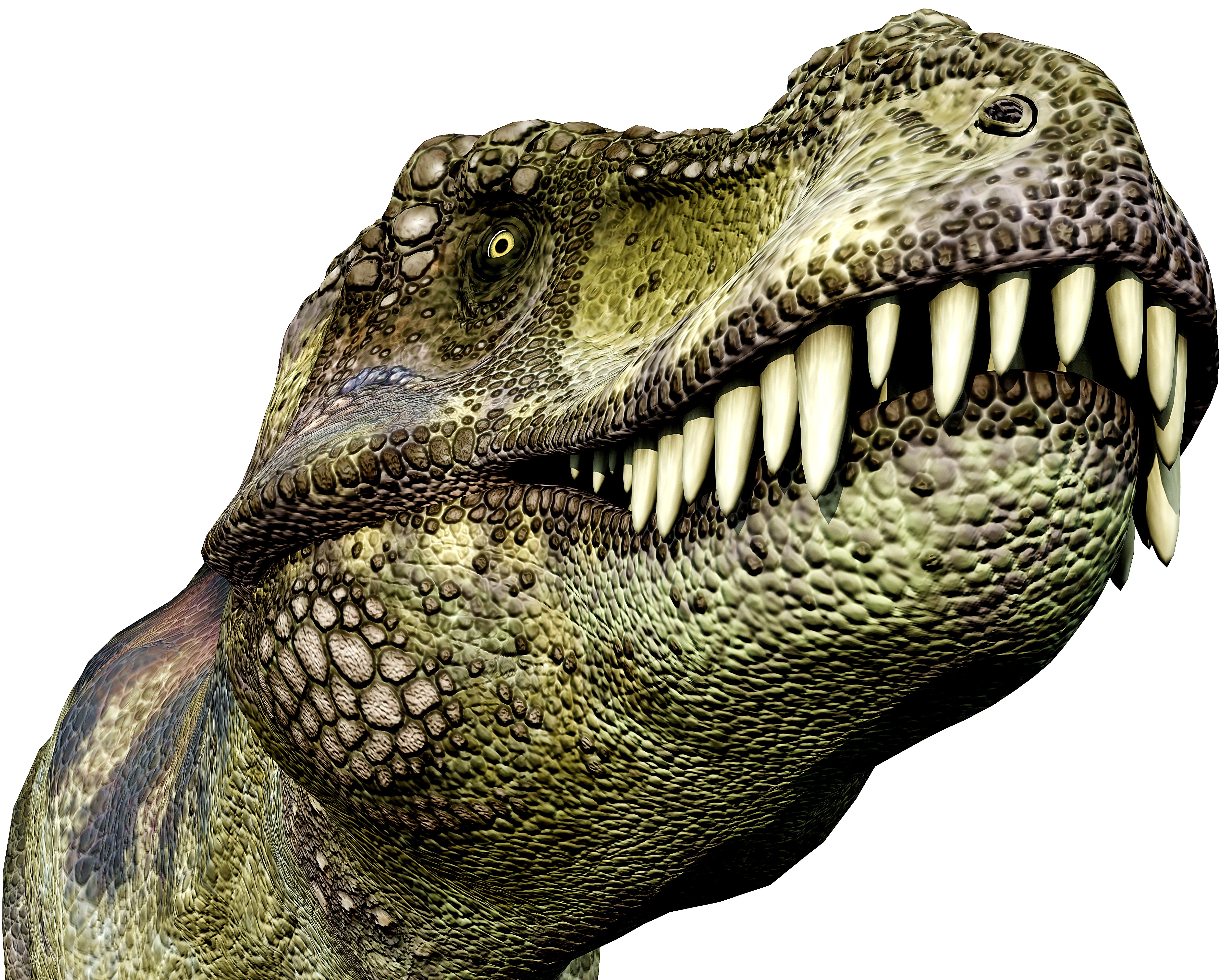 Tyrannosaurus Rex Head with Sharp Teeth HD Wallpaper