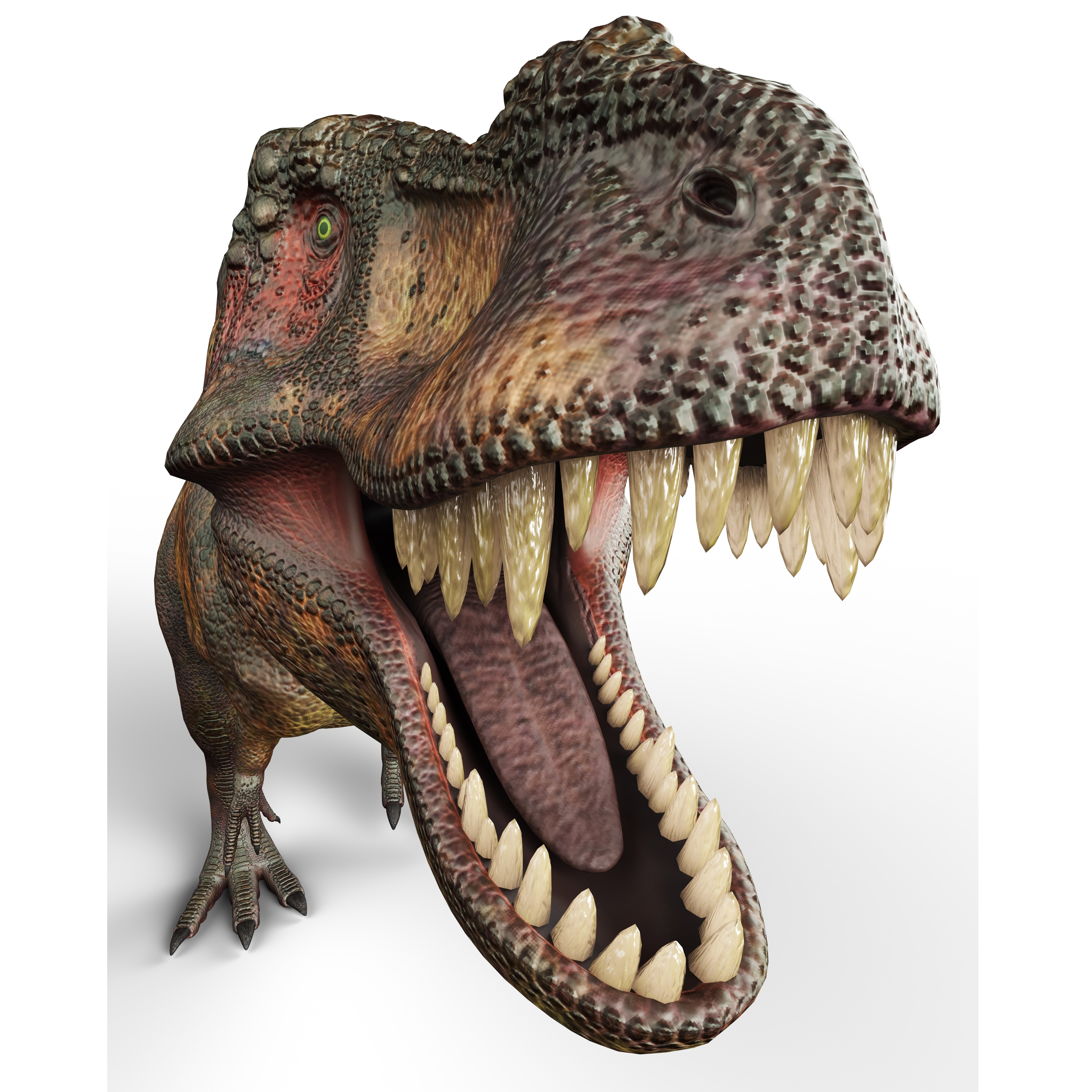 Tyrannosaurus Rex Dinosaur Roaring HD Wallpaper