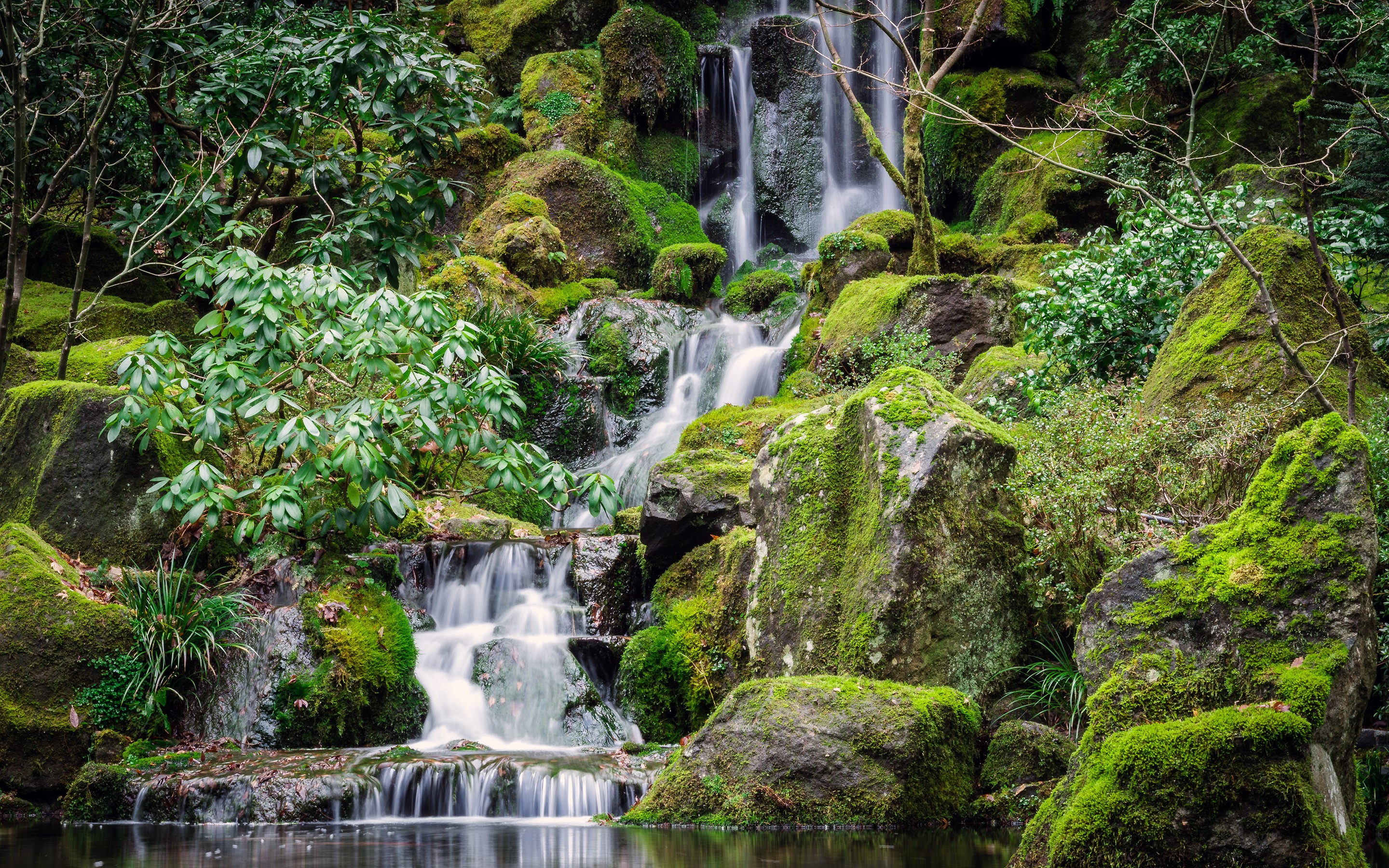 Mossy rocks and a cascading waterfall in a forest HD Wallpaper