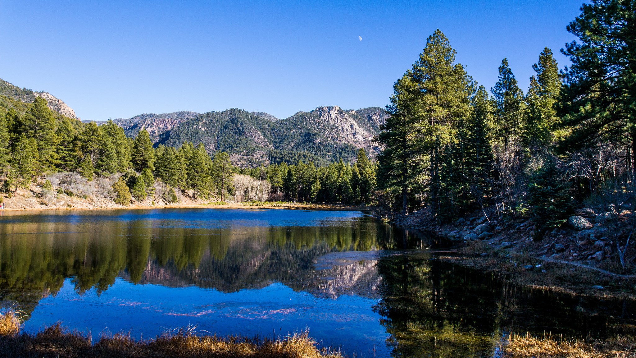Mountains and lake with pine trees and reflection HD Wallpaper