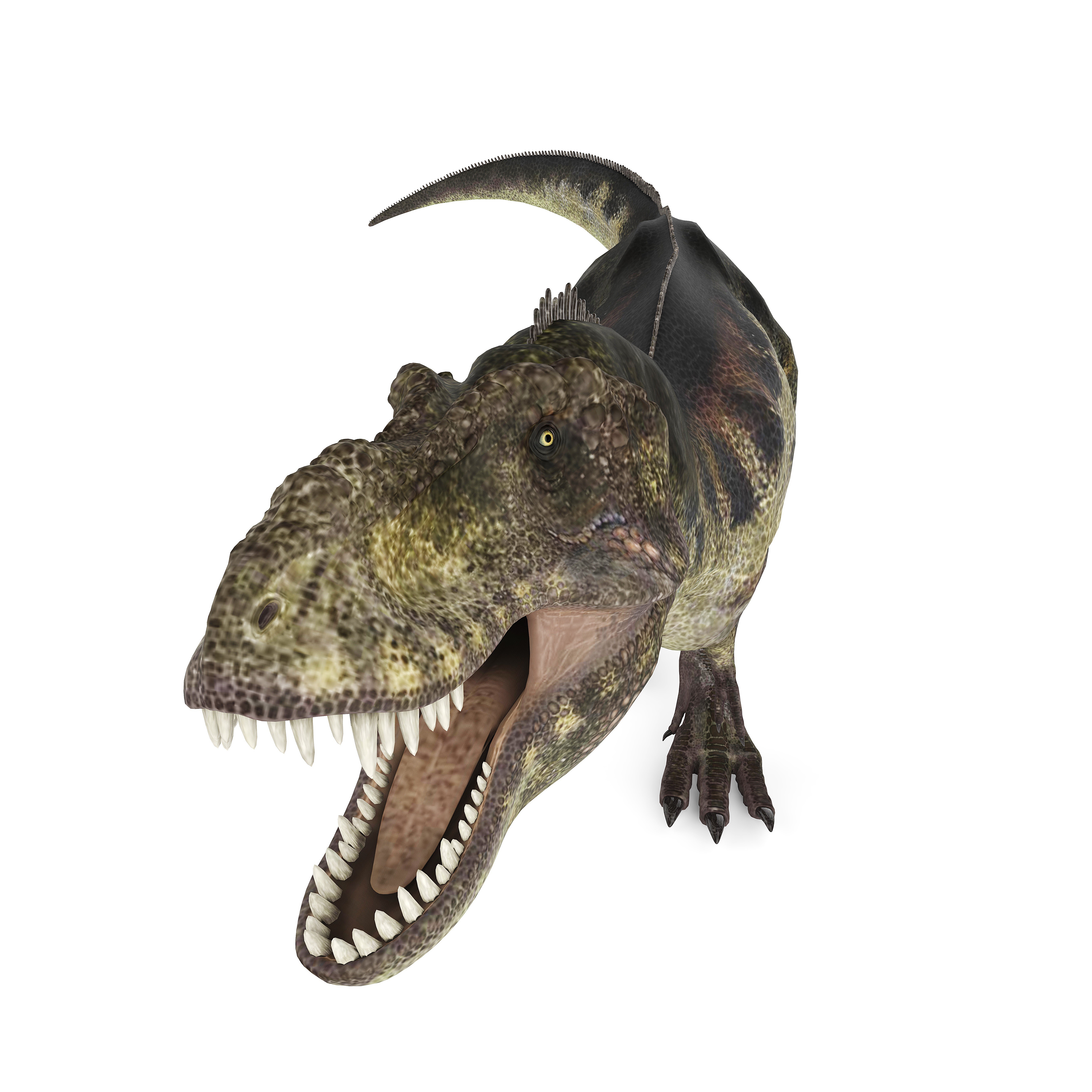 Tyrannosaurus Rex Dinosaur HD Wallpaper