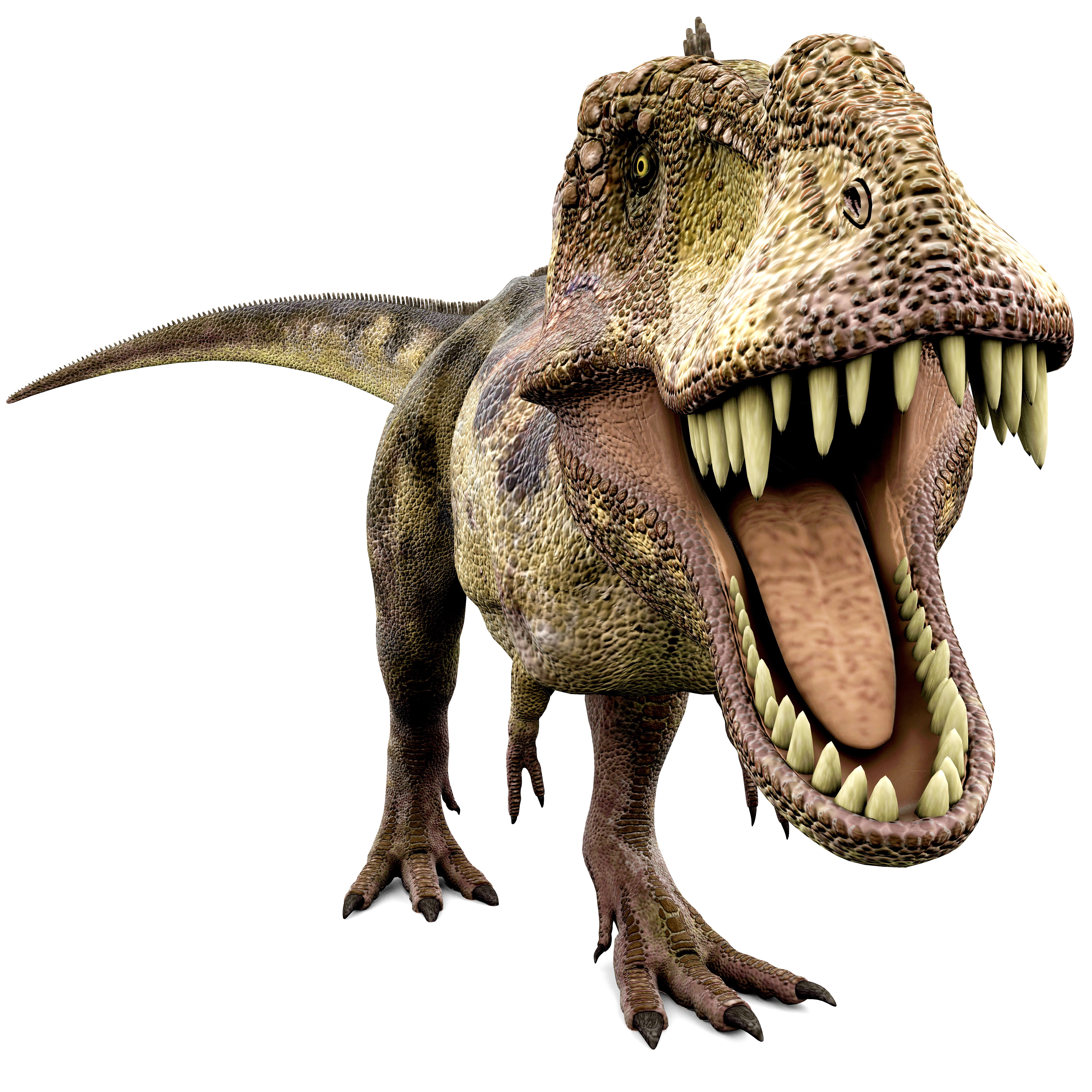 Tyrannosaurus Rex with mouth open HD Wallpaper