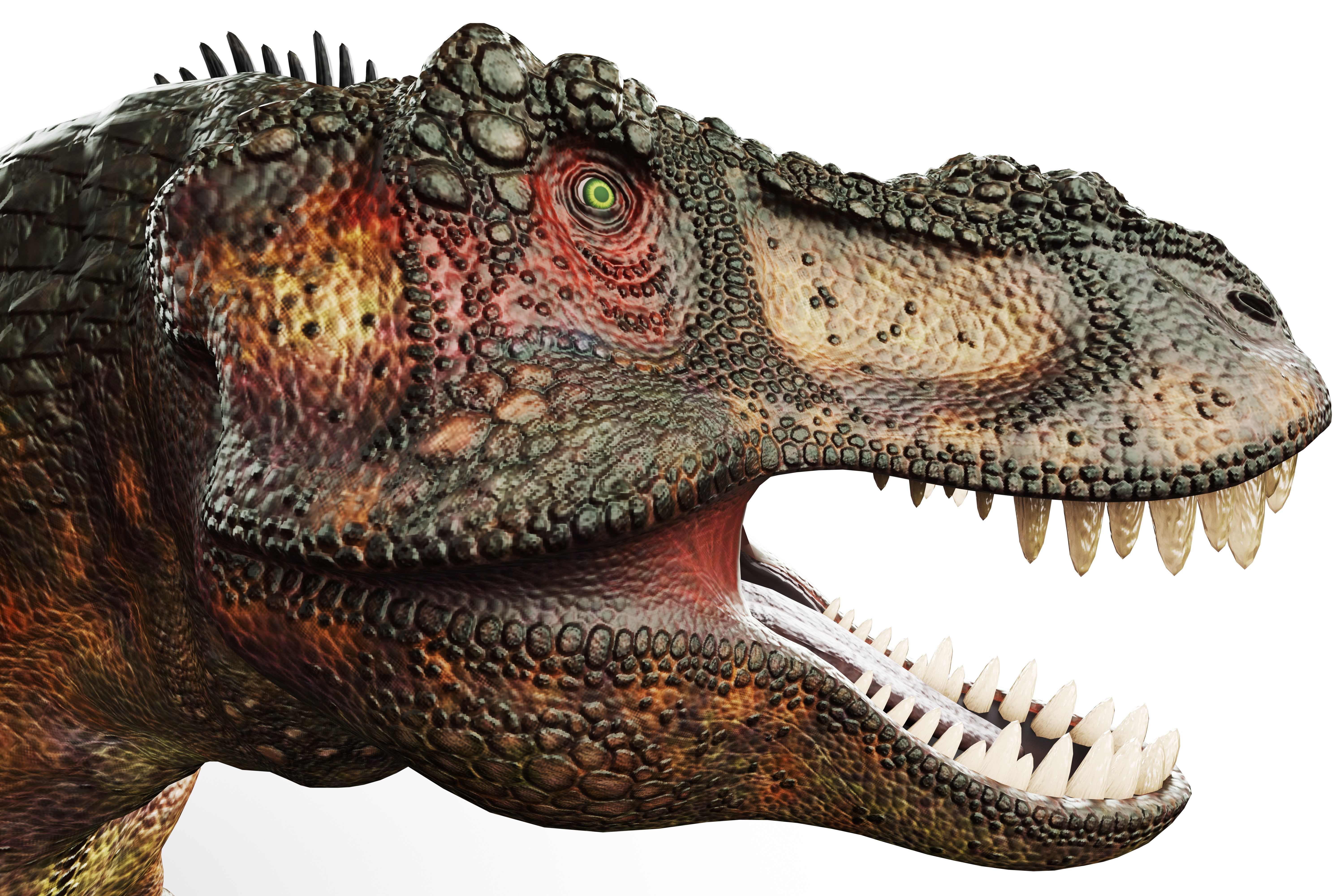 Tyrannosaurus Rex Dinosaur Head HD Wallpaper