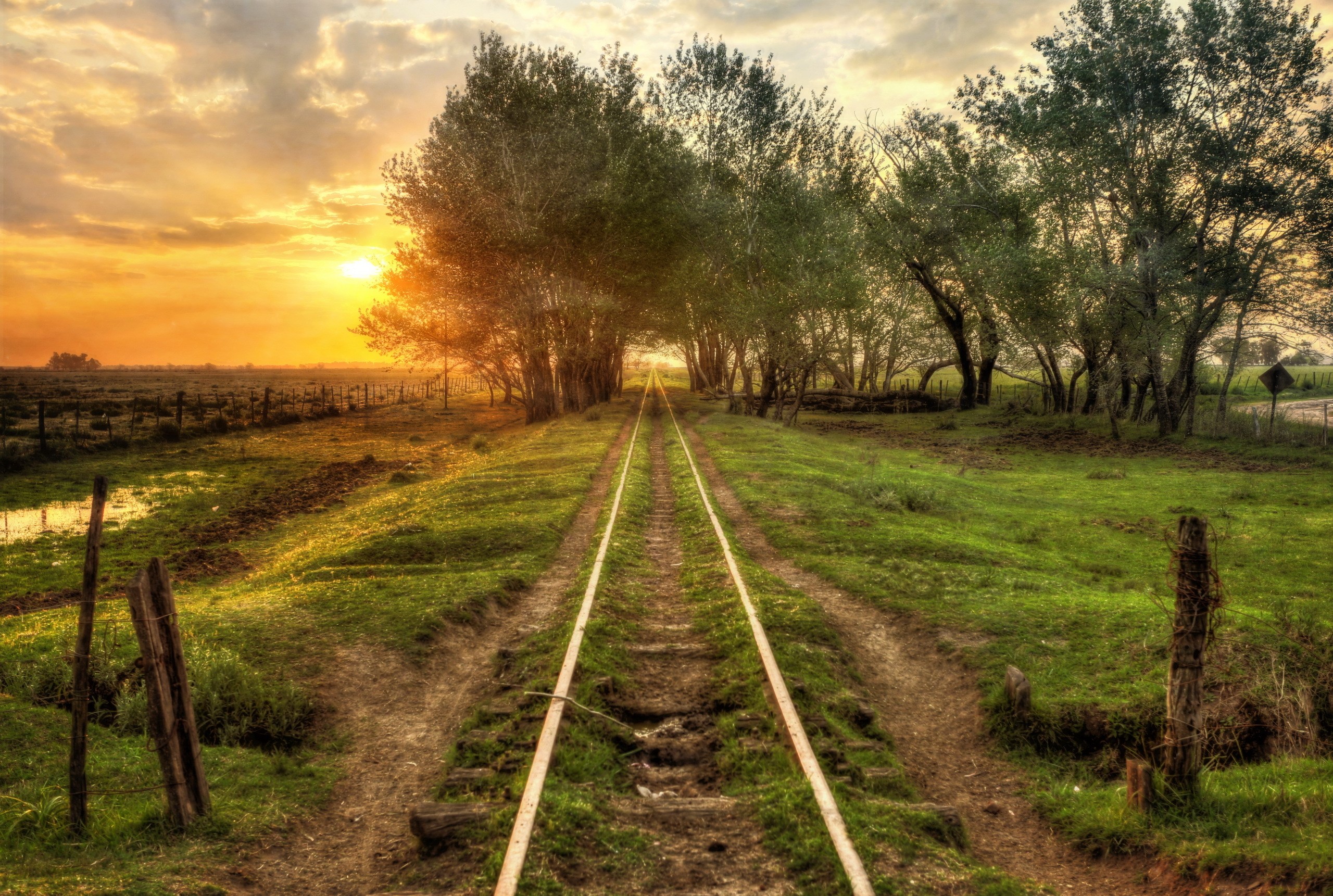 Railroad tracks through trees at sunset HD Wallpaper