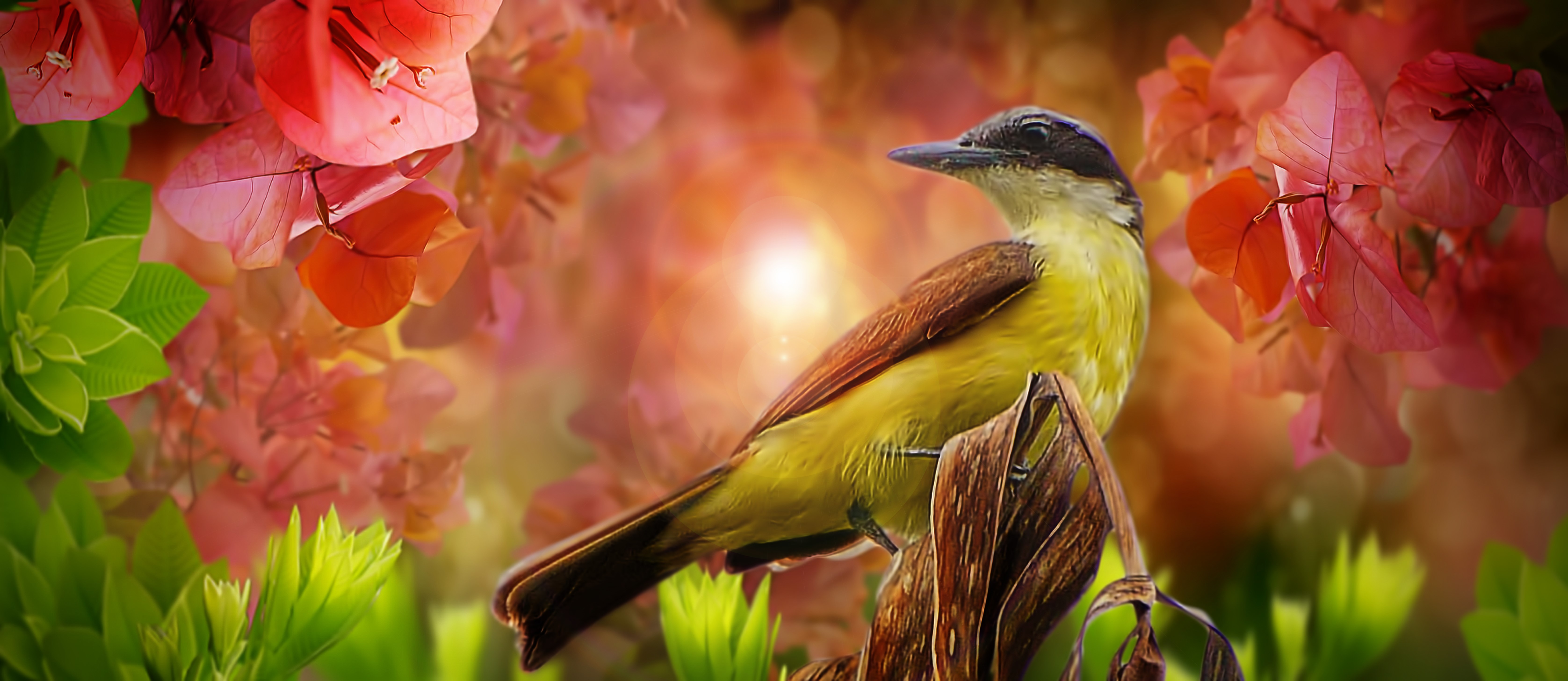Yellow bird perched on a branch with flowers HD Wallpaper
